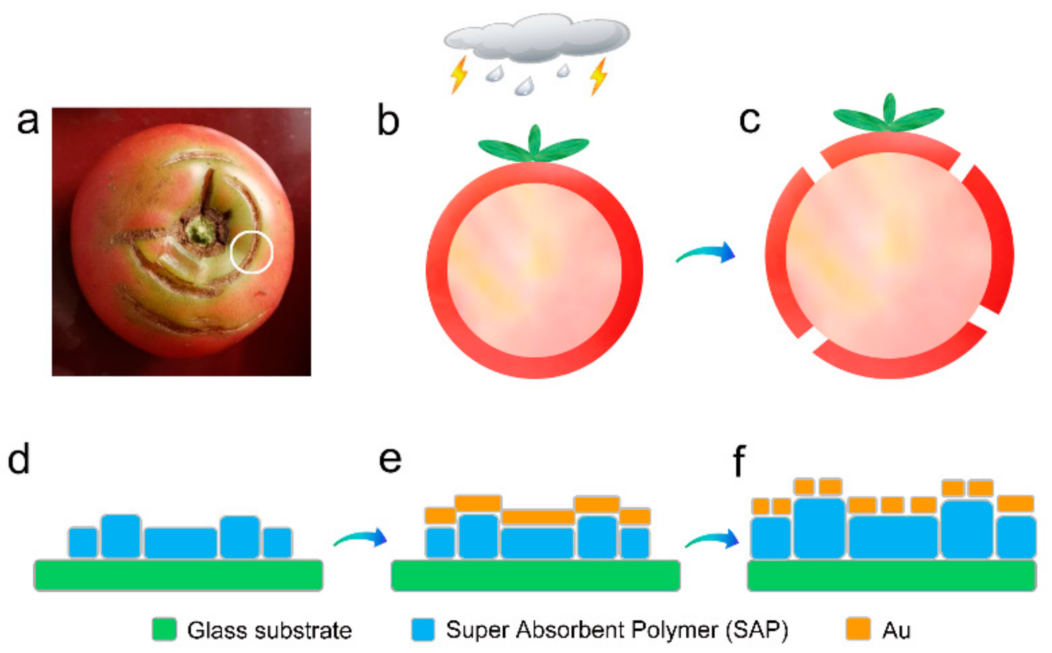 Micromachines 12 00735 g001