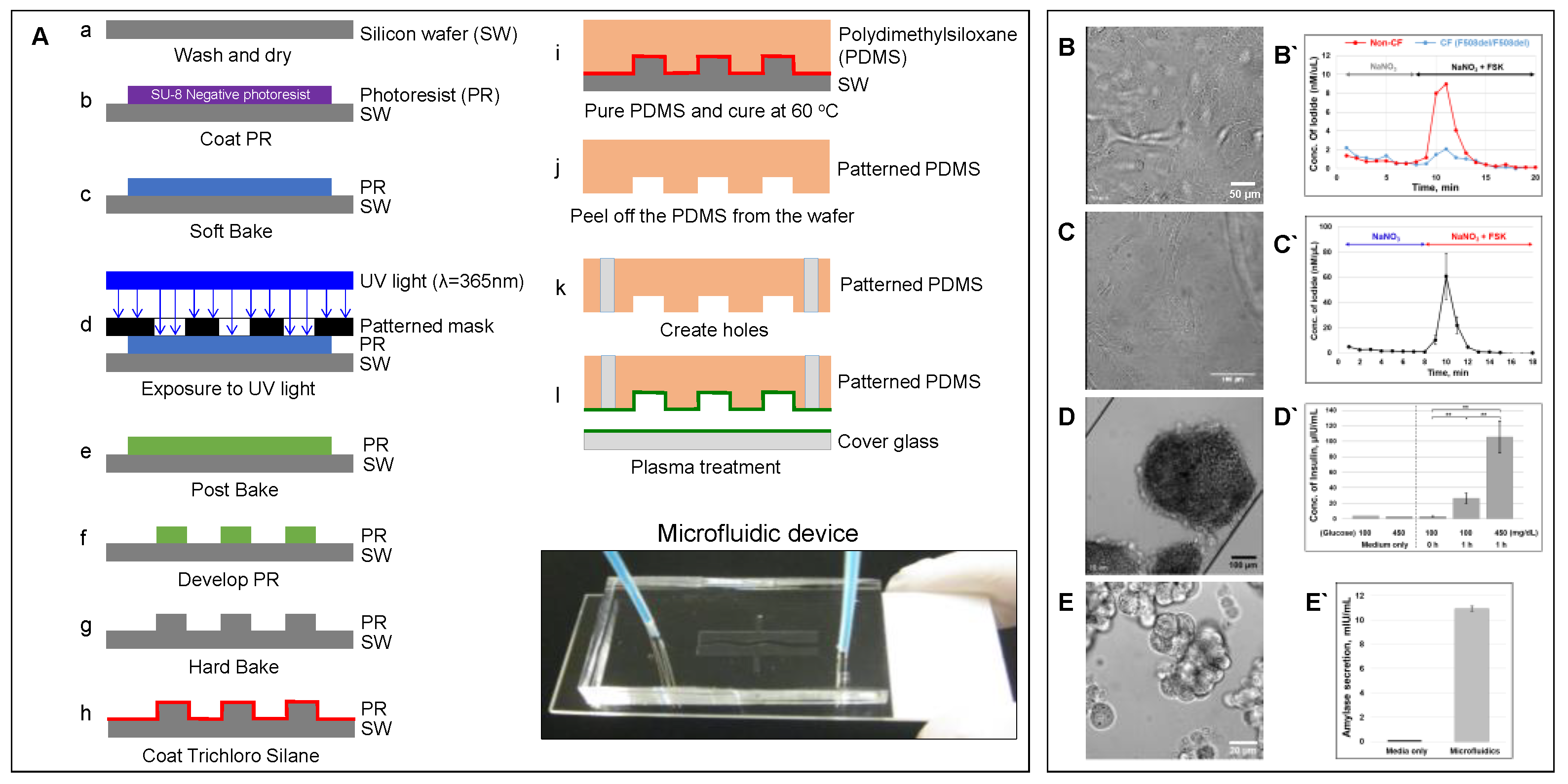 Micromachines 12 00747 g002