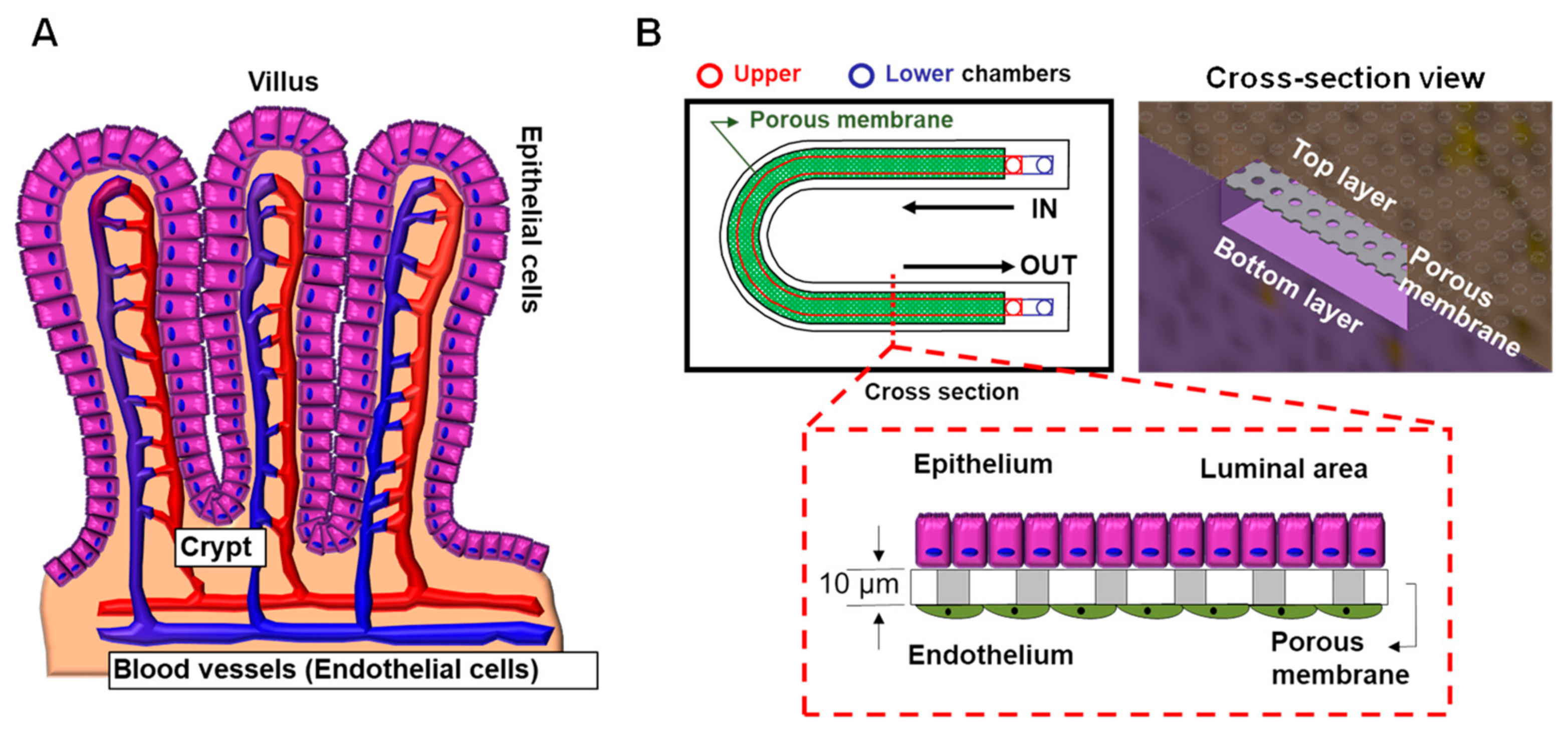 Micromachines 12 00747 g006