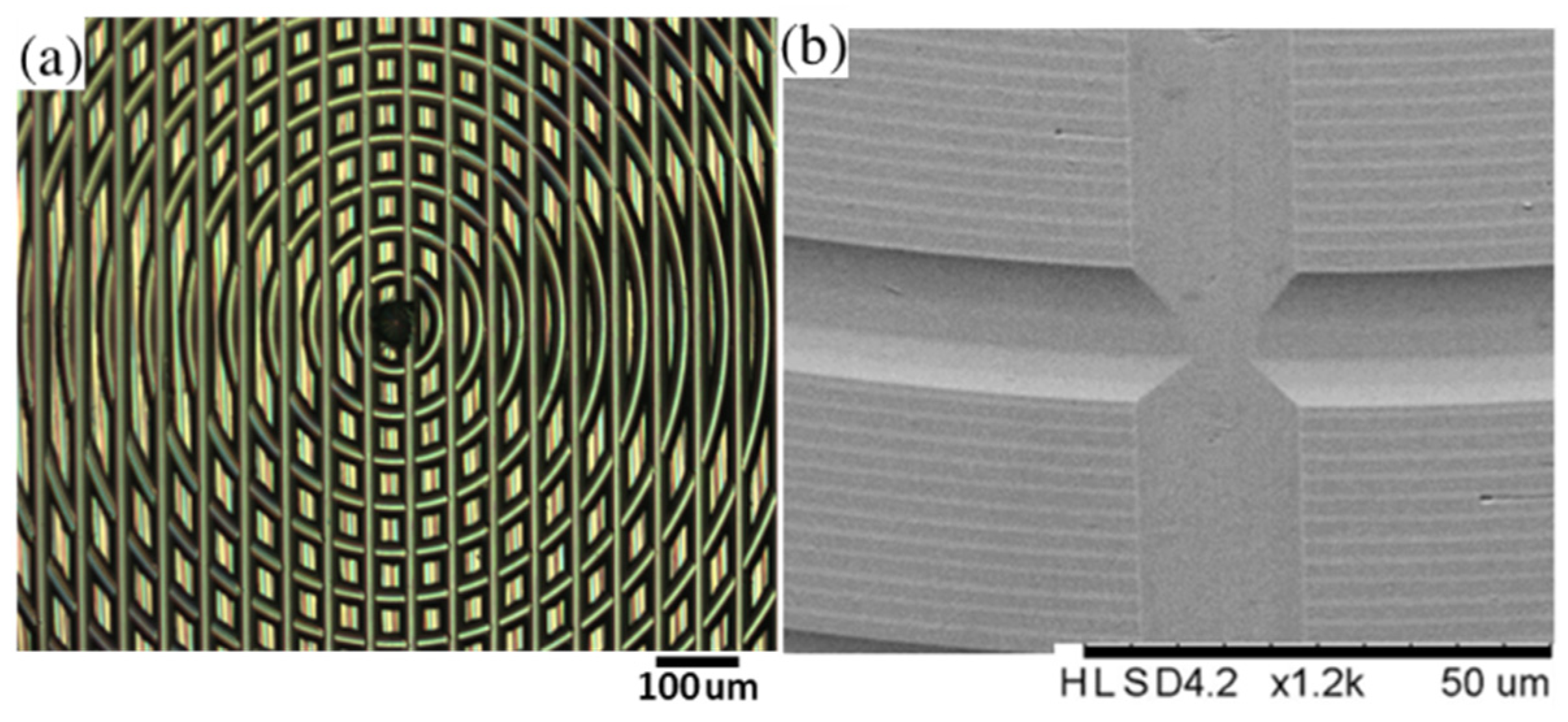 Micromachines 12 00755 g001