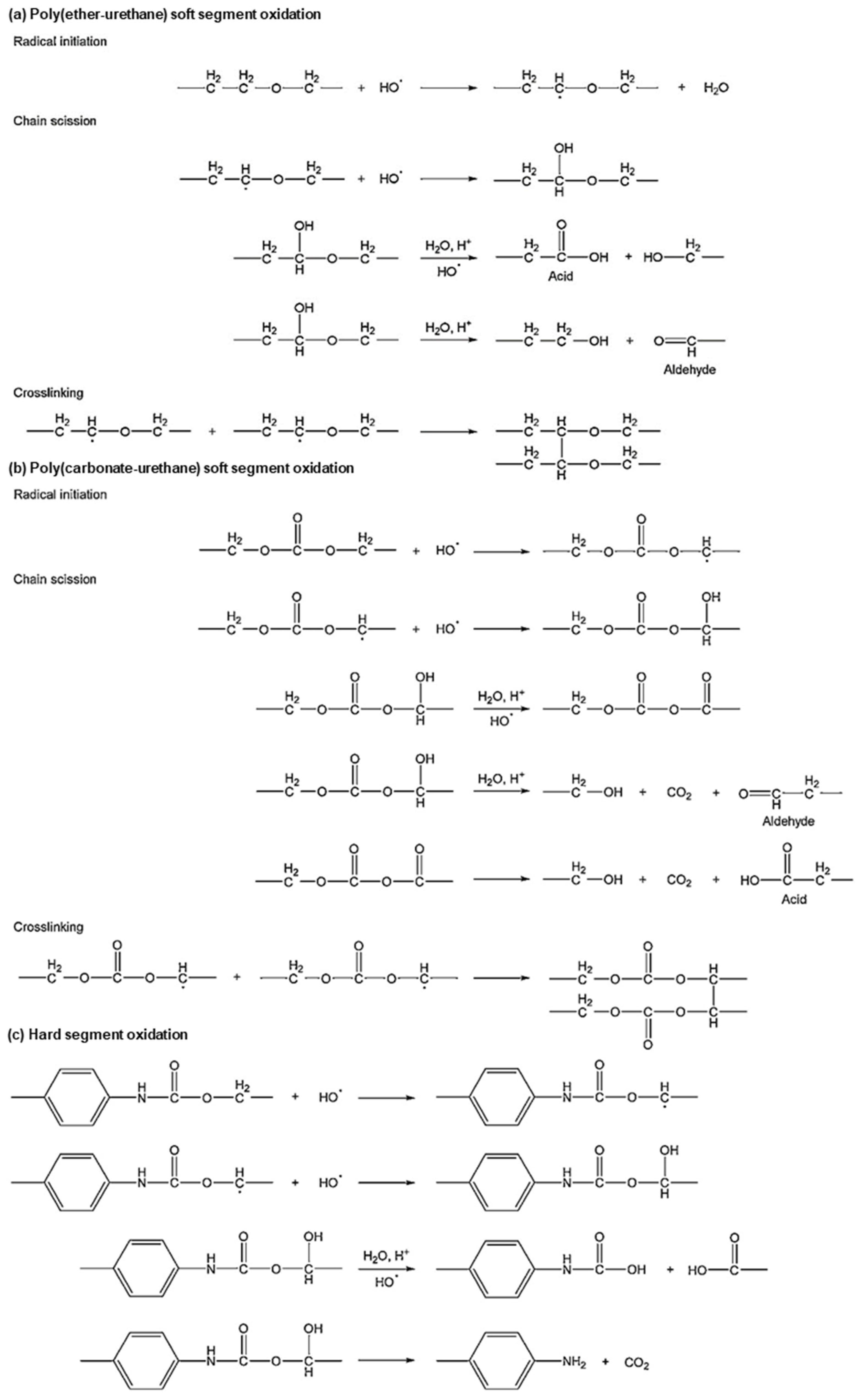 Micromachines 12 00757 g005