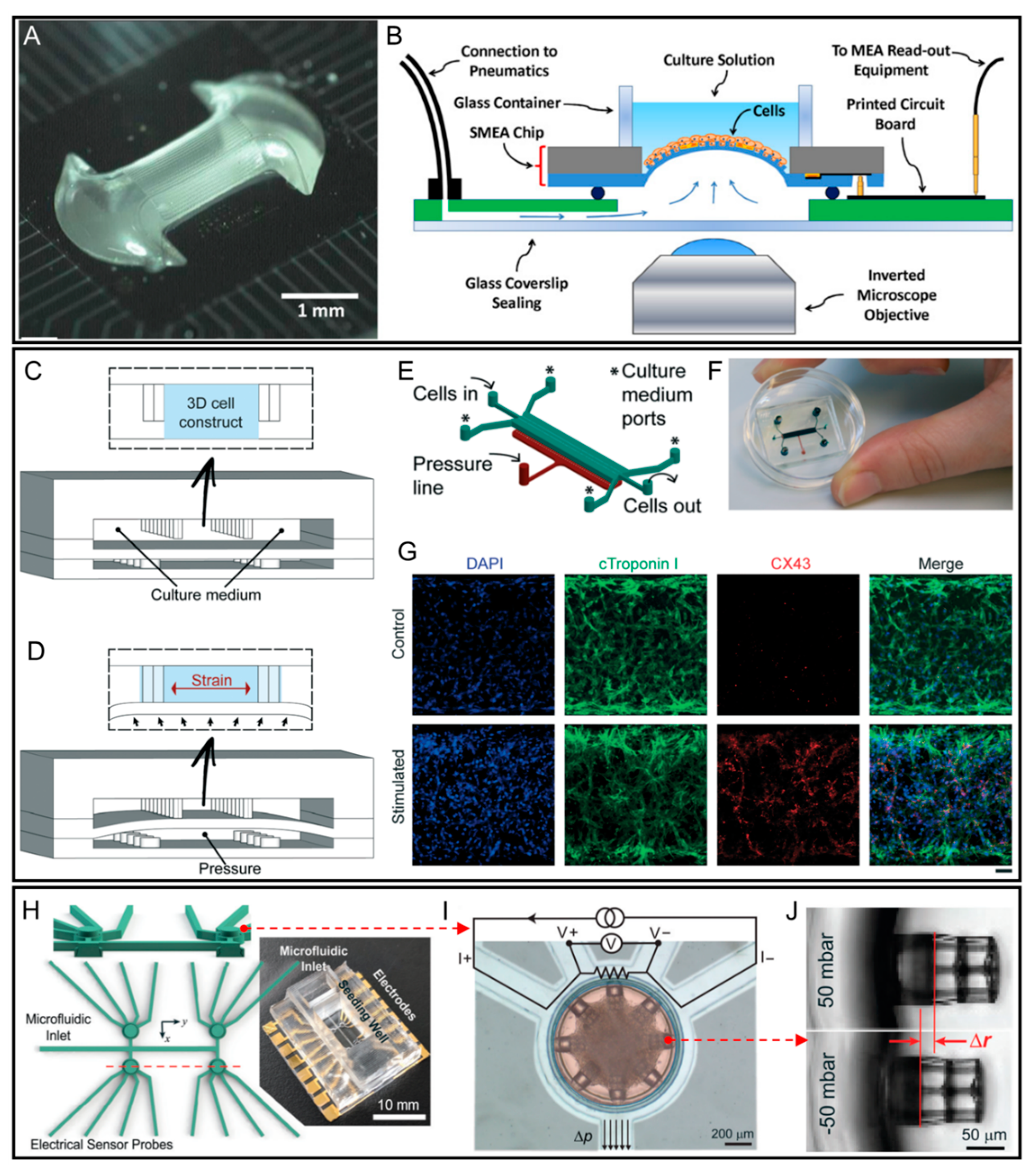 Micromachines 12 00765 g001