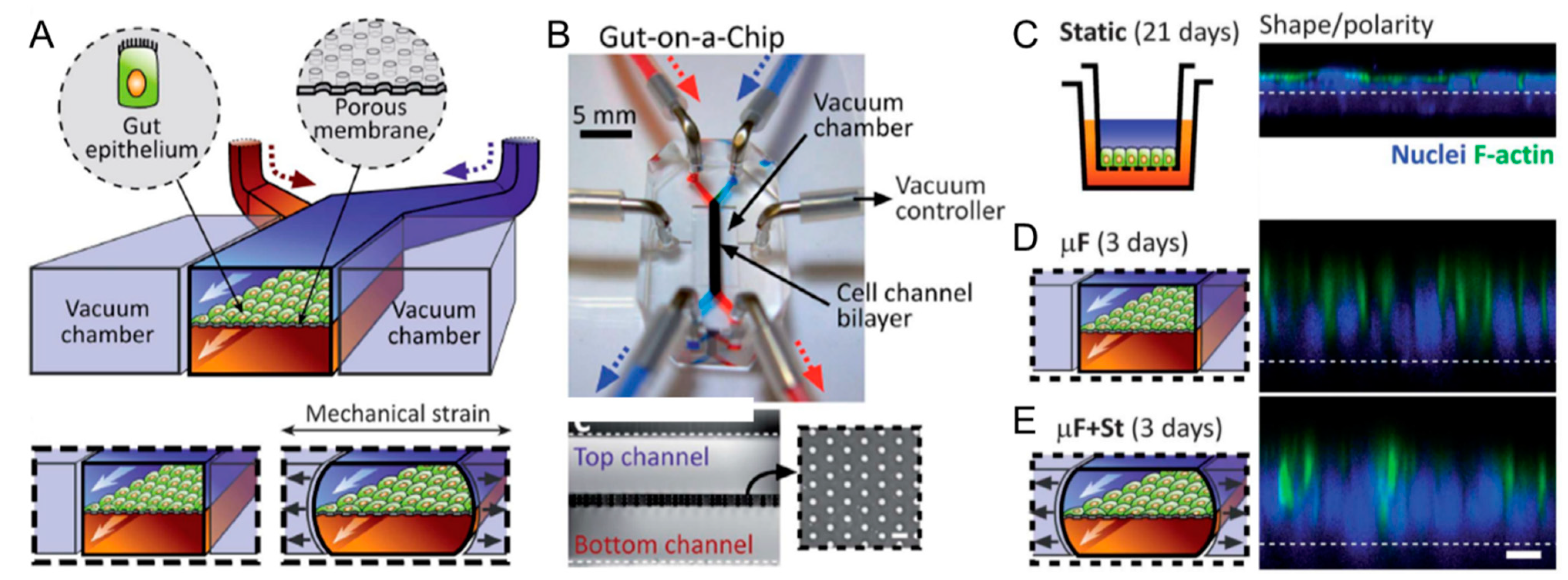 Micromachines 12 00765 g004