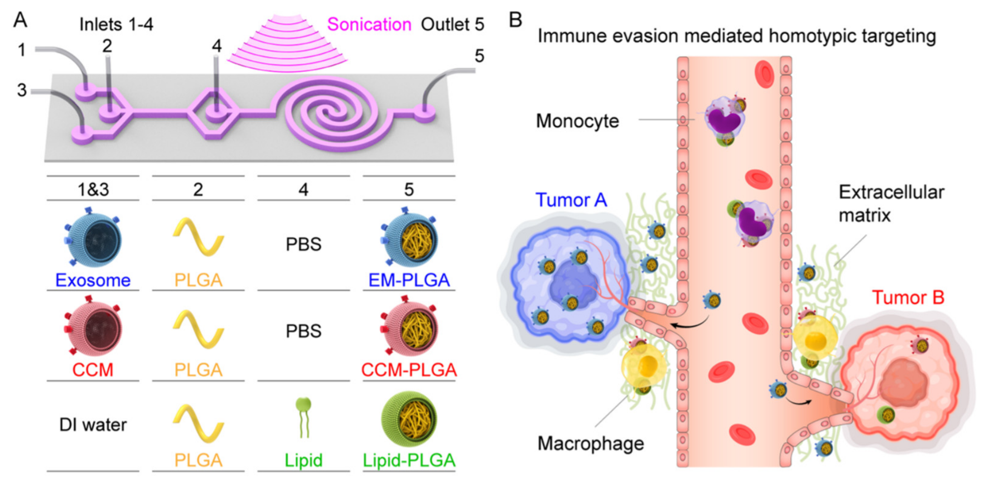 Micromachines 12 00768 g003