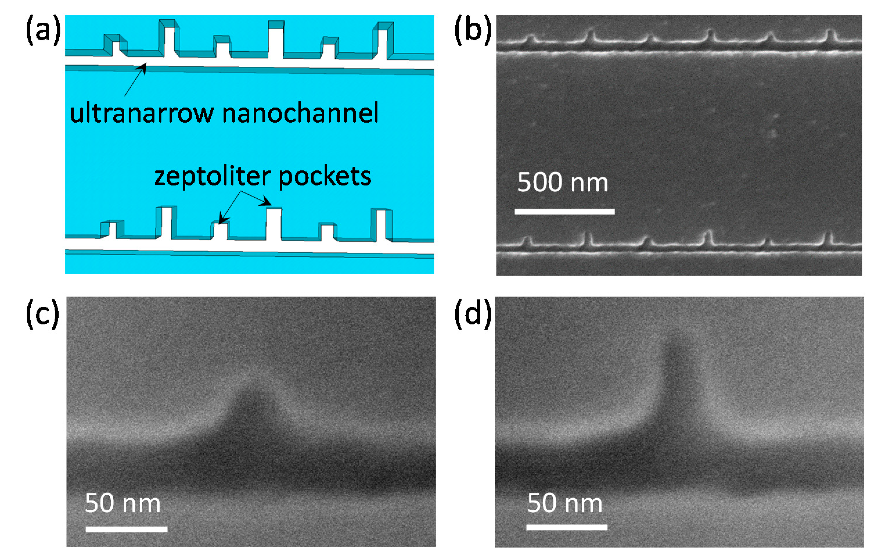 totaal Ontdekking Onderstrepen Micromachines | Free Full-Text | Fabrication of Ultranarrow Nanochannels  with Ultrasmall Nanocomponents in Glass Substrates
