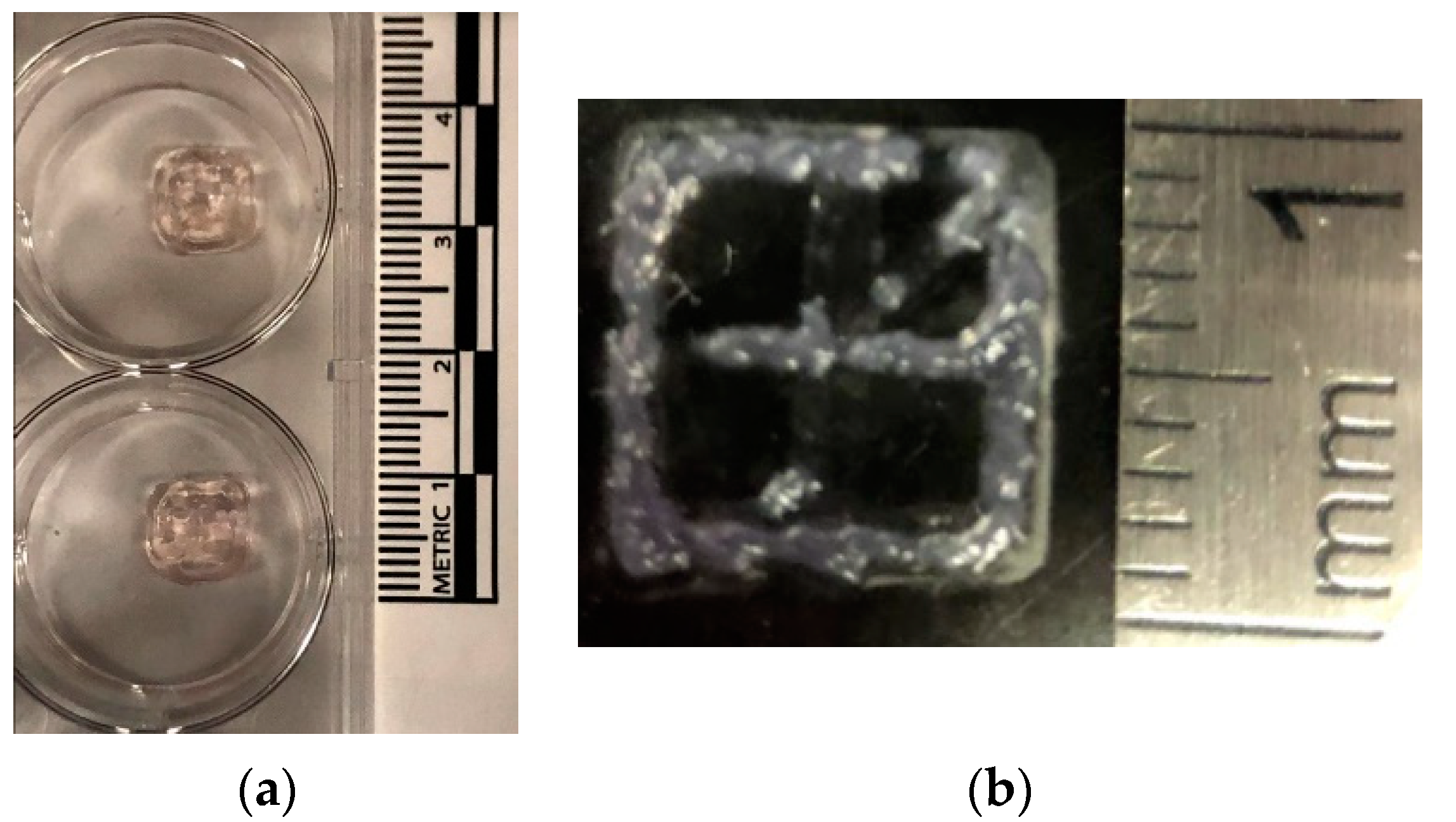 Micromachines 12 00780 g008 550