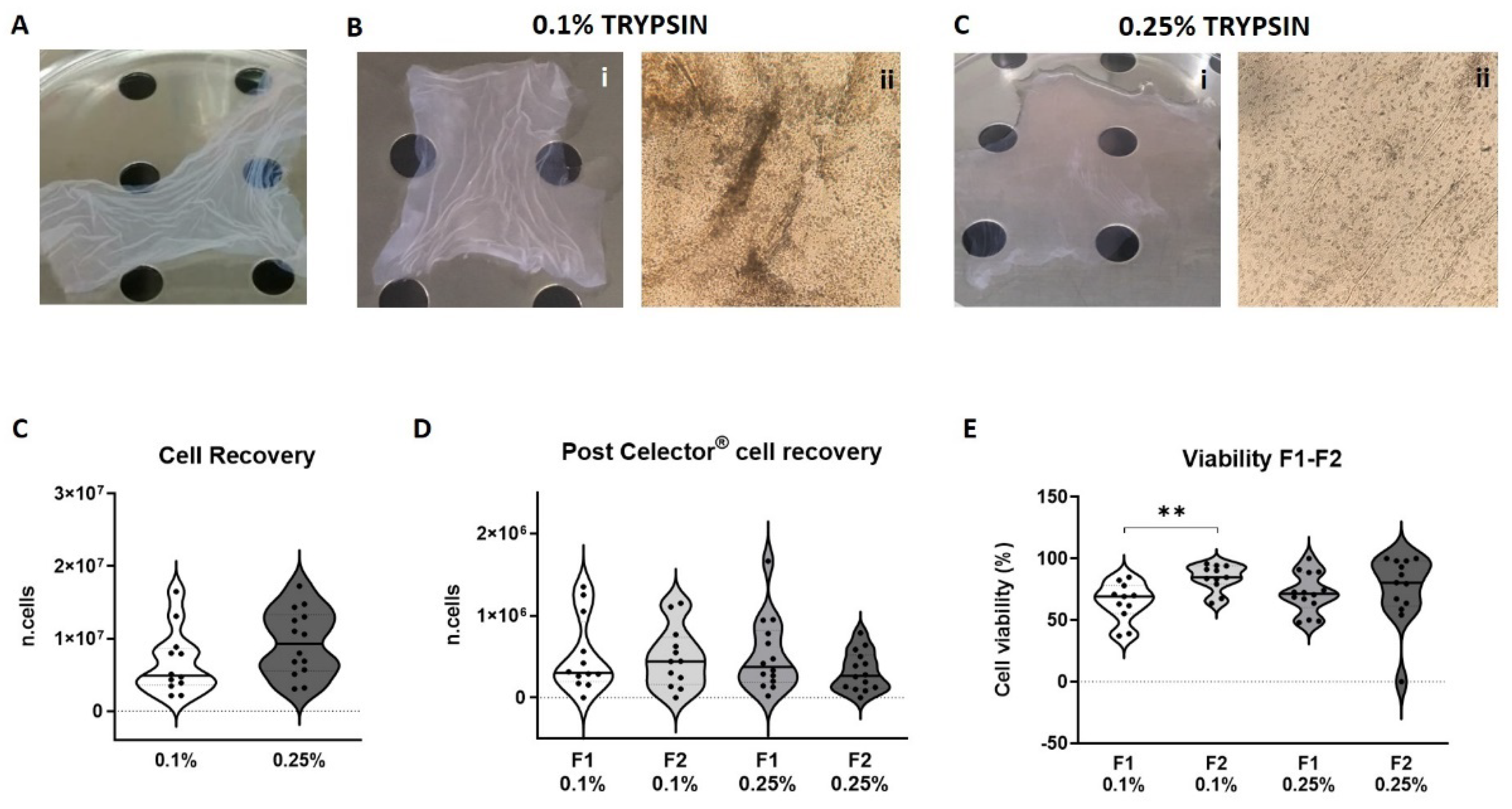 Micromachines 12 00782 g004