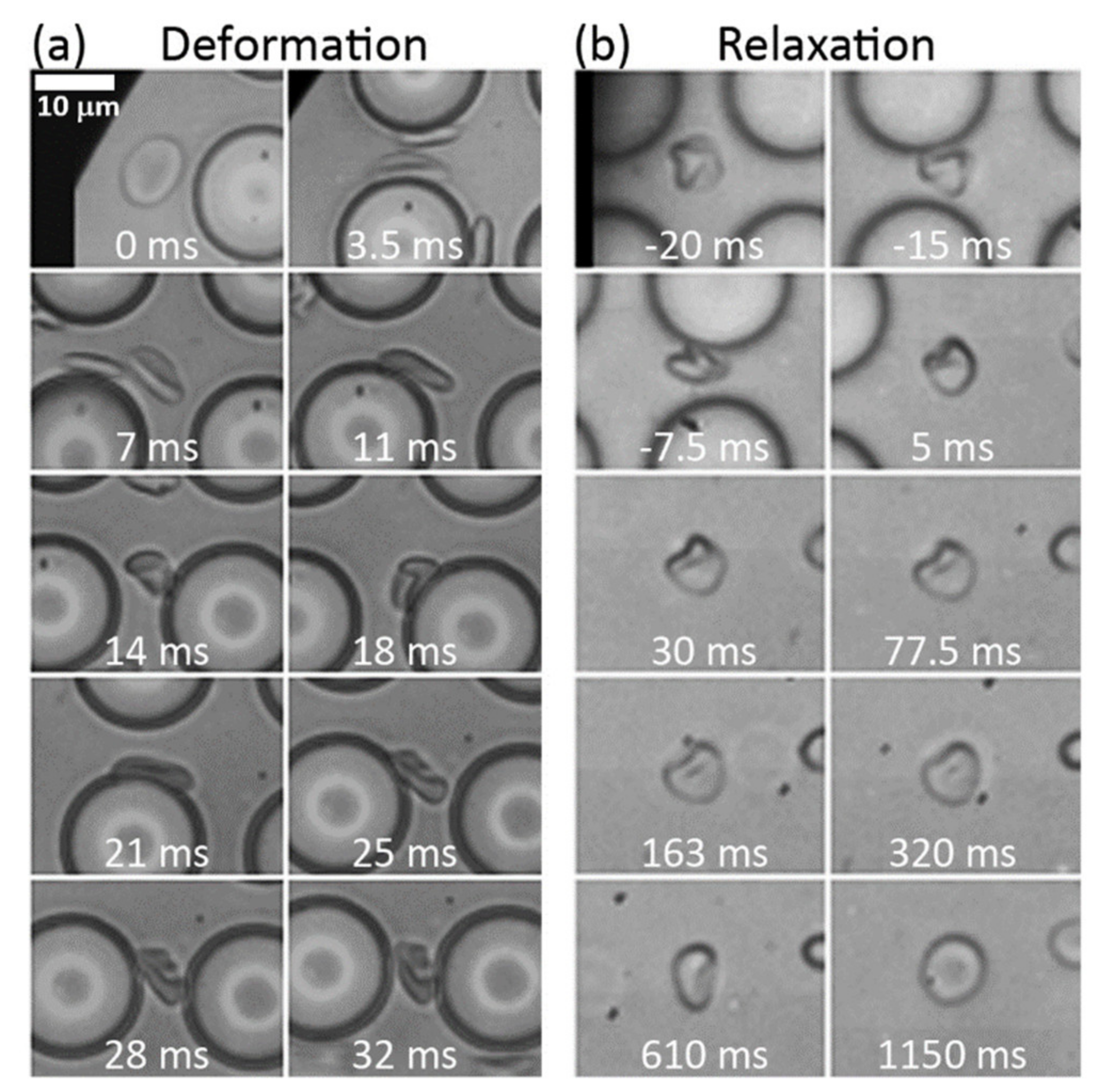 Micromachines 12 00783 g001 Micromachines 12 00783 g001