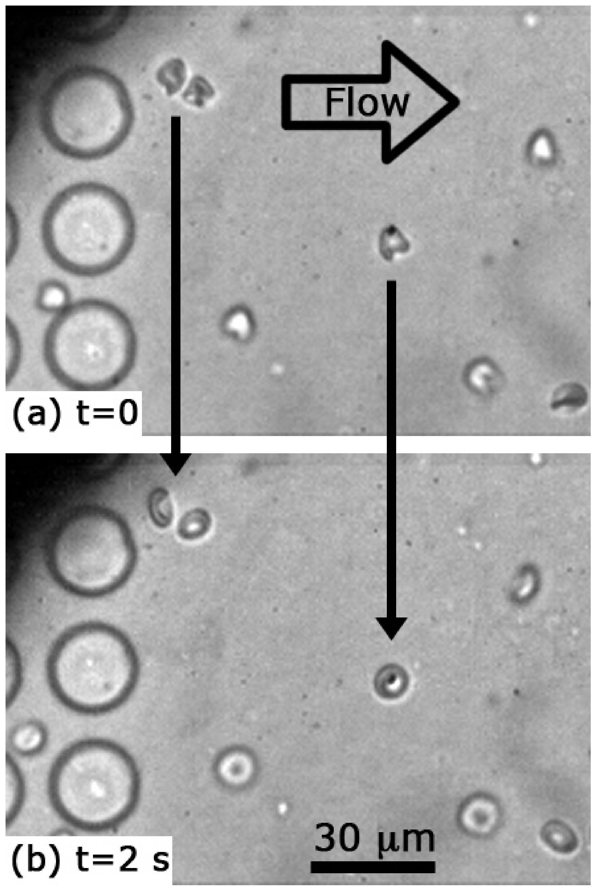 Micromachines 12 00783 g004 Micromachines 12 00783 g004