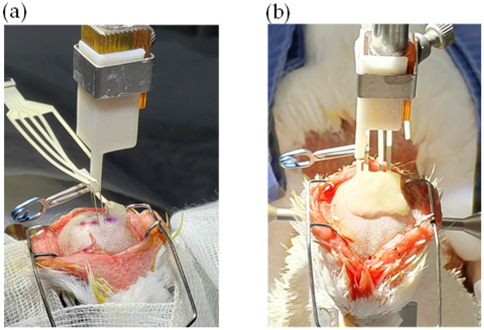 Micromachines 12 00788 g001