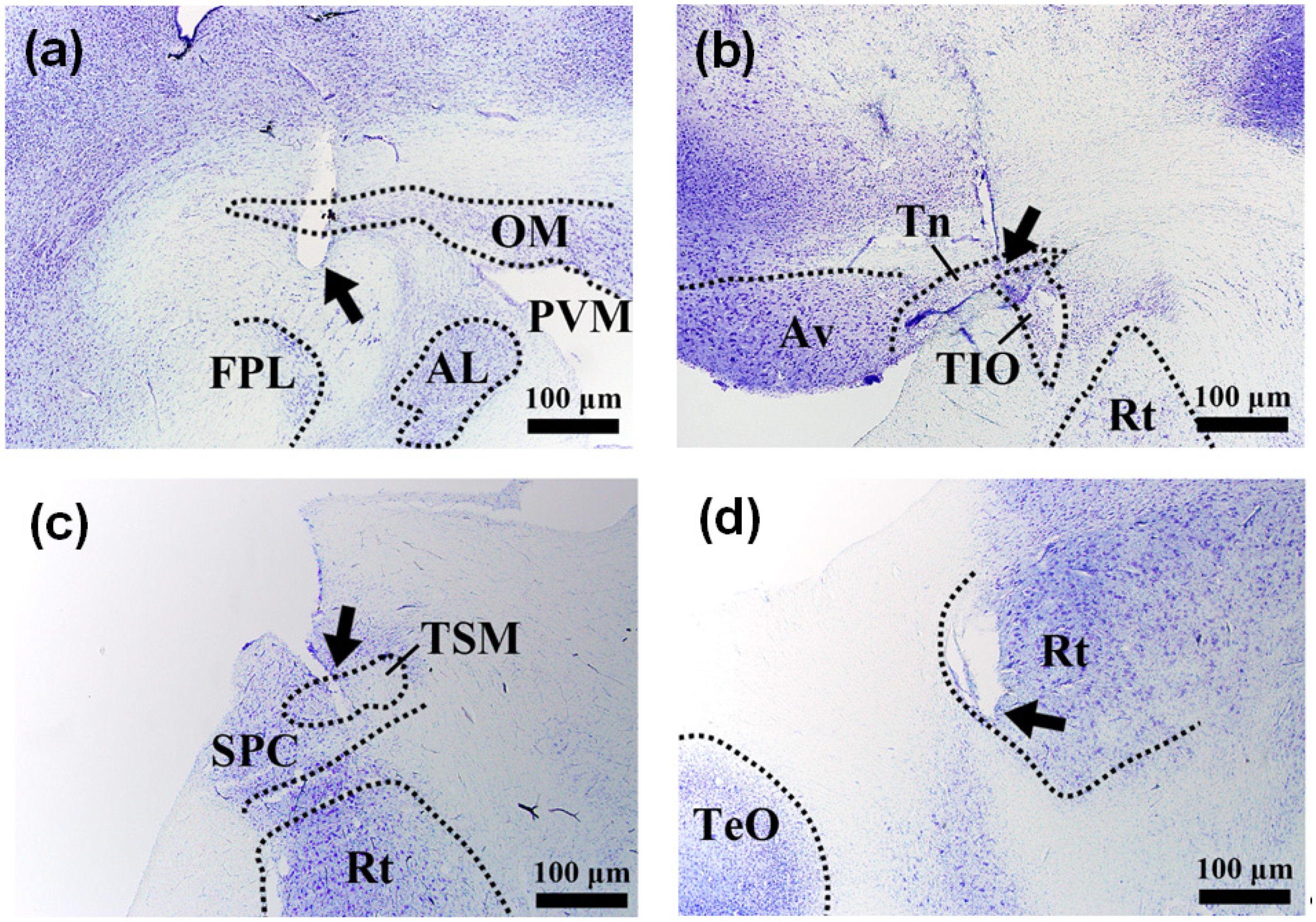 Micromachines 12 00788 g007
