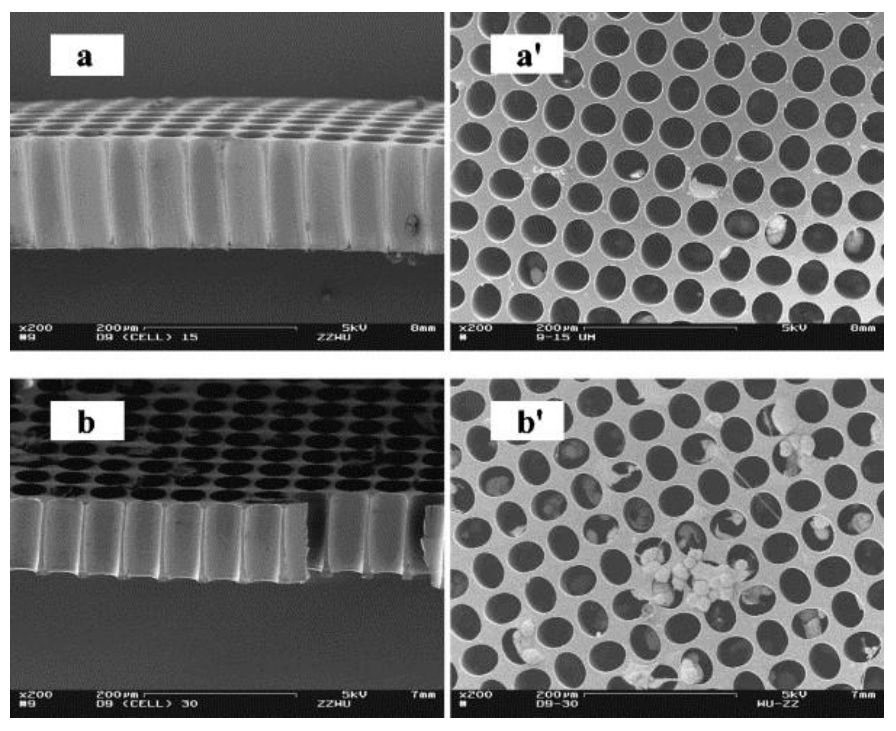 Micromachines 12 00794 g004