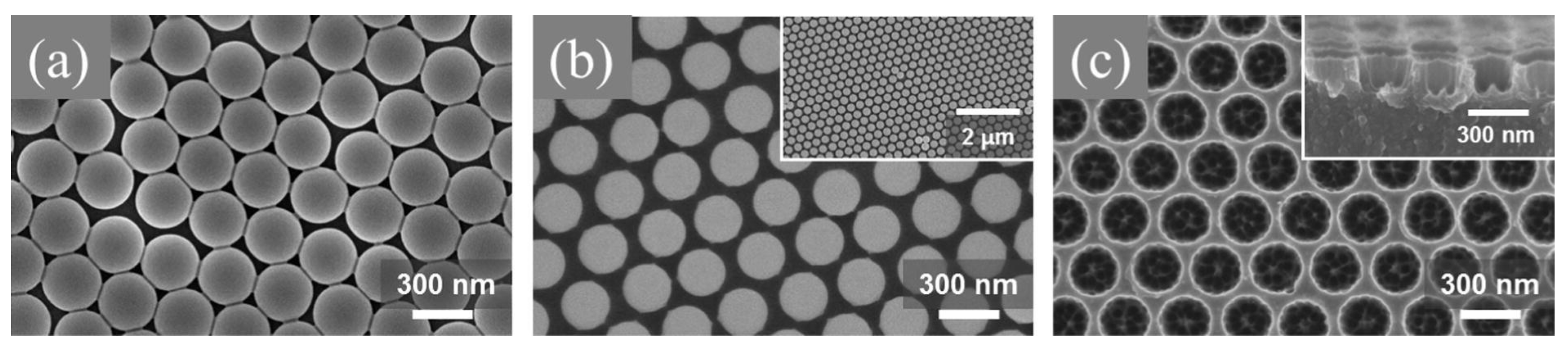 Micromachines 12 00794 g005