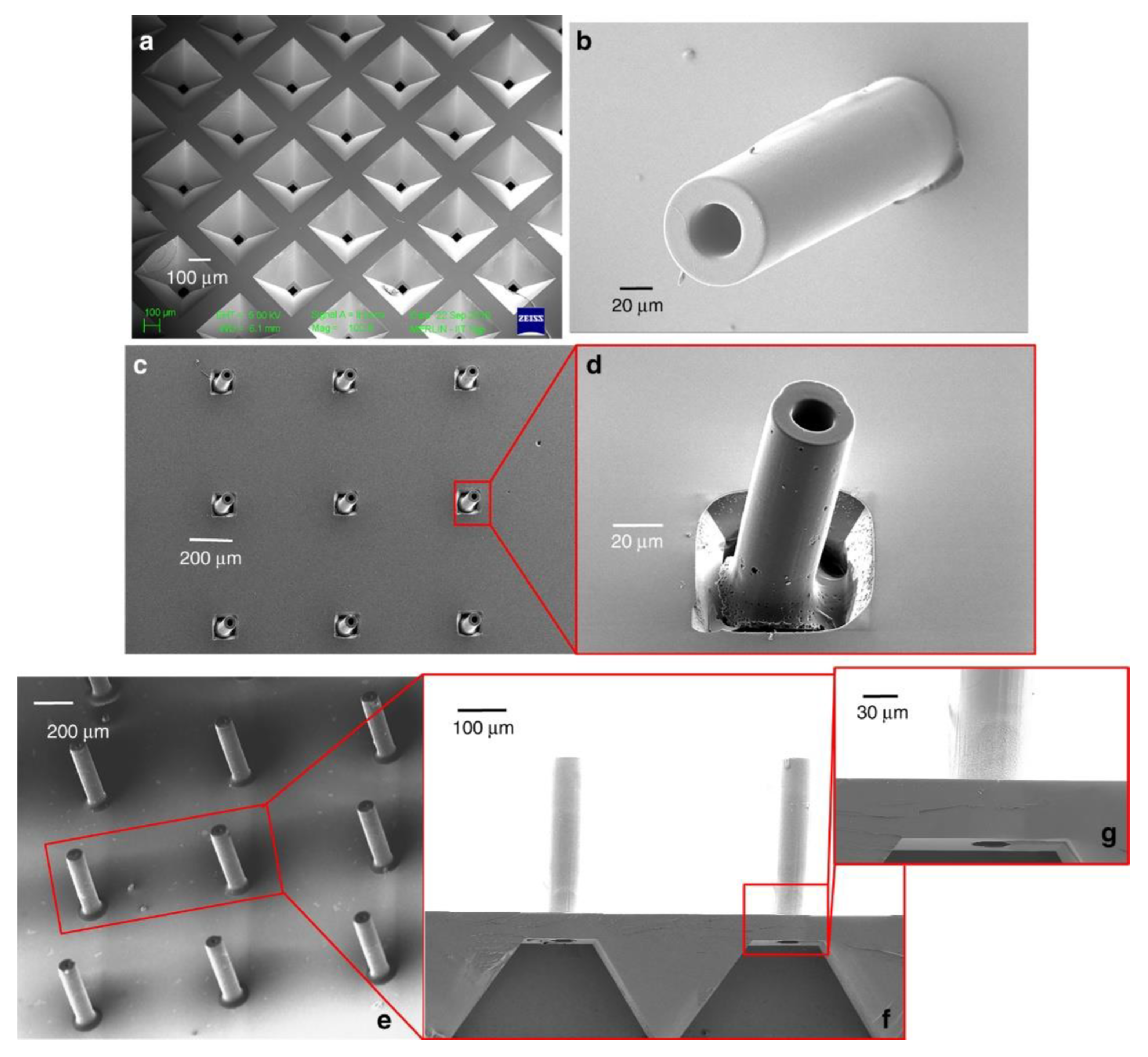 Micromachines 12 00794 g011
