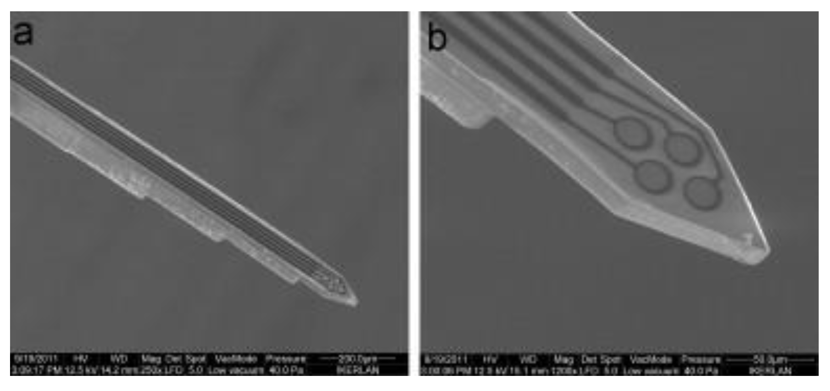 Micromachines 12 00794 g013