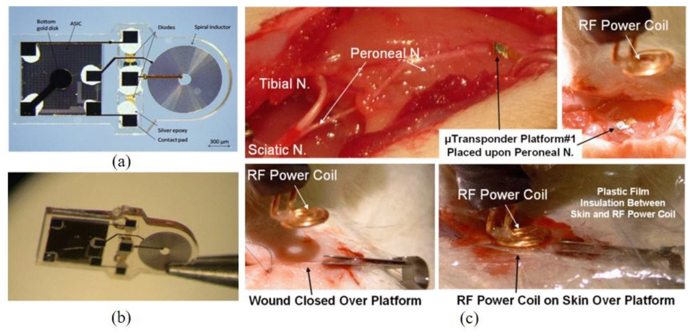 Micromachines 12 00794 g015