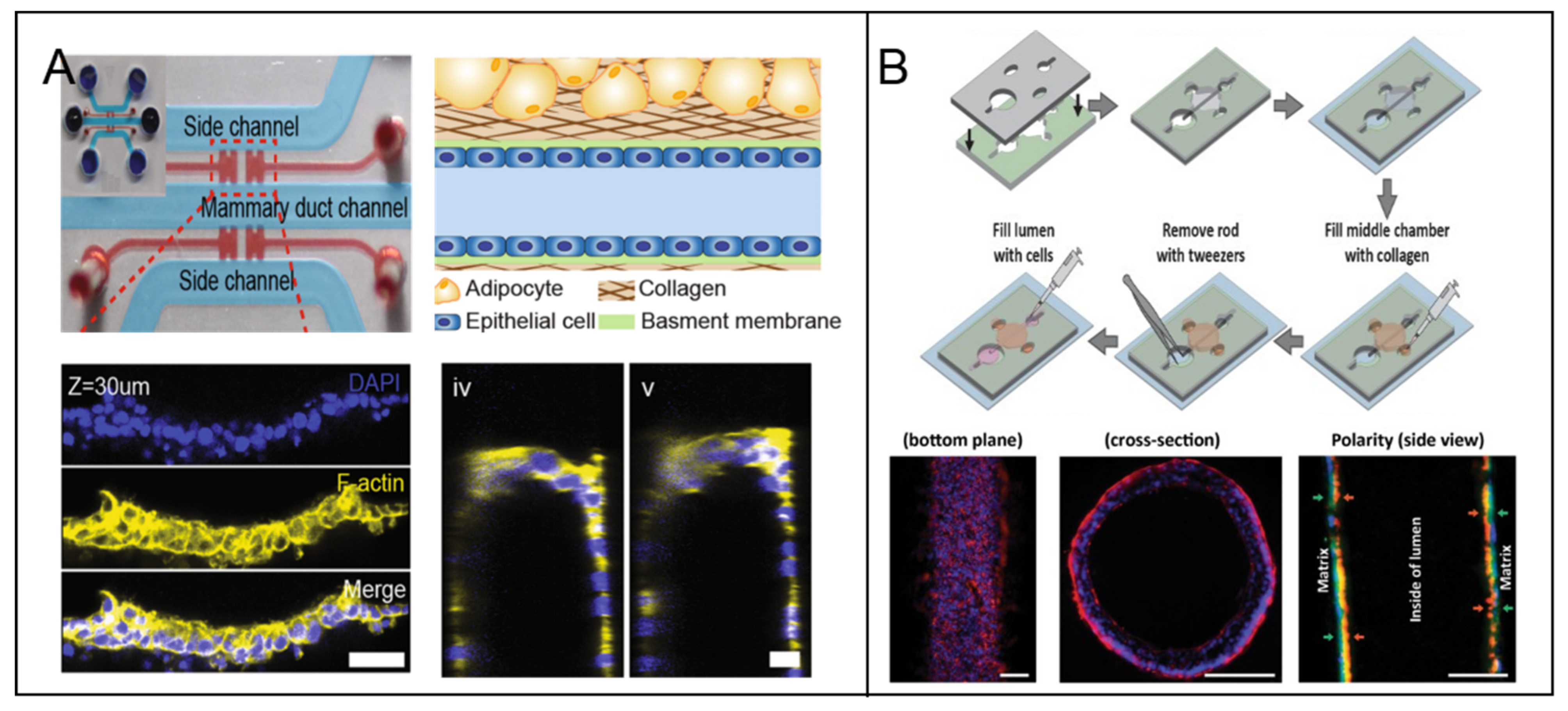 Micromachines 12 00814 g003