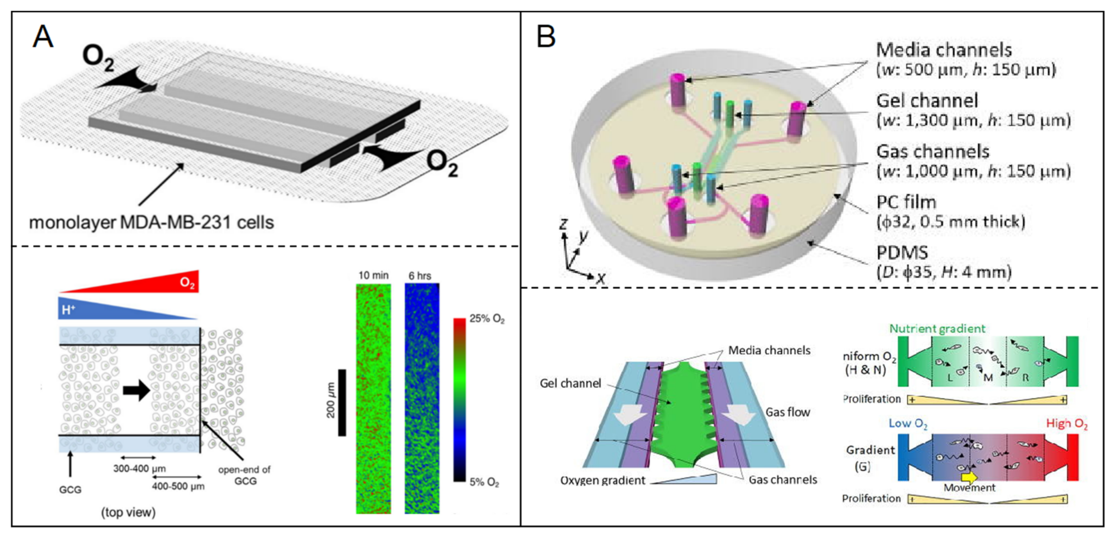 Micromachines 12 00814 g005
