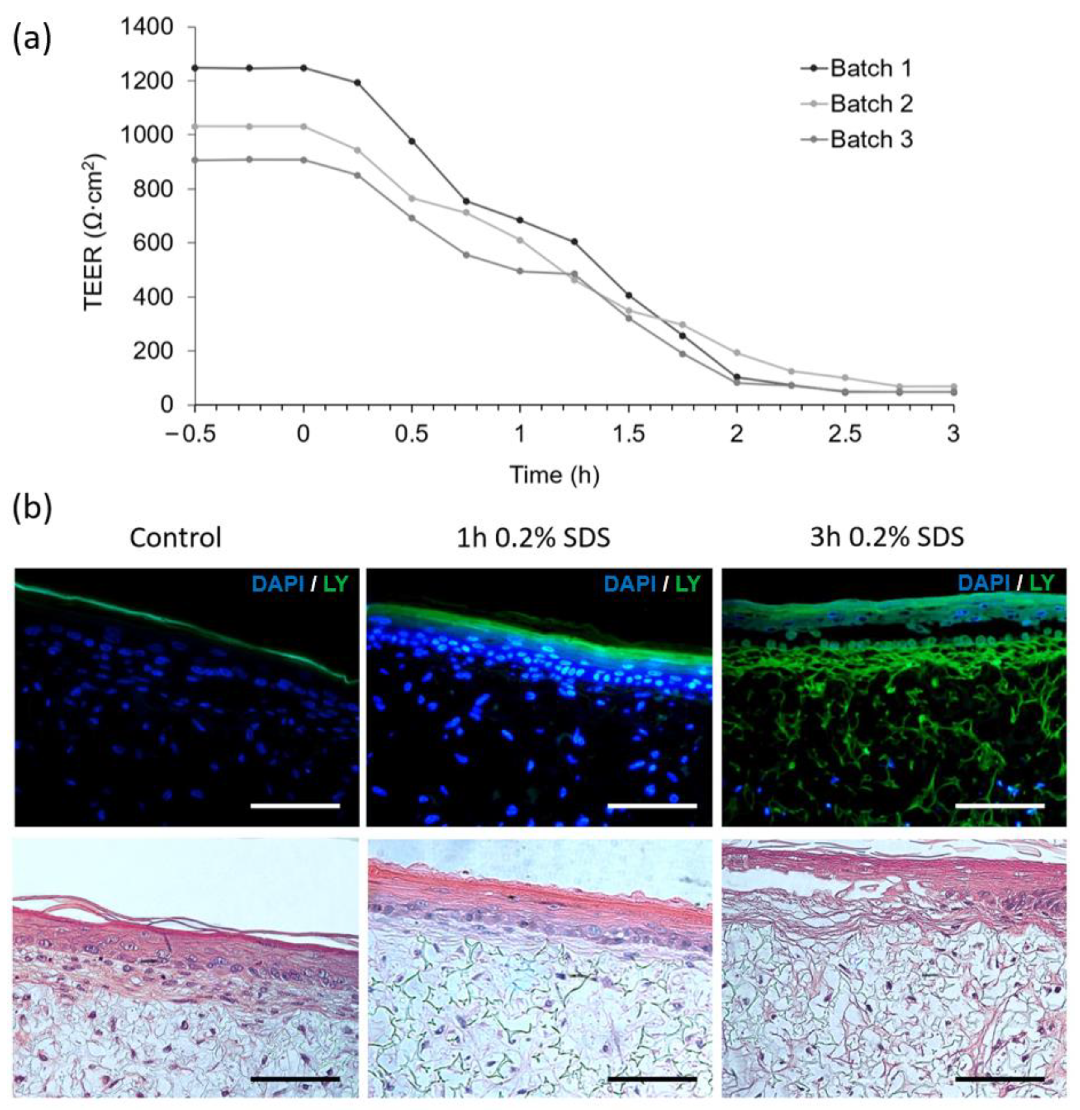 Micromachines 12 00816 g007 550