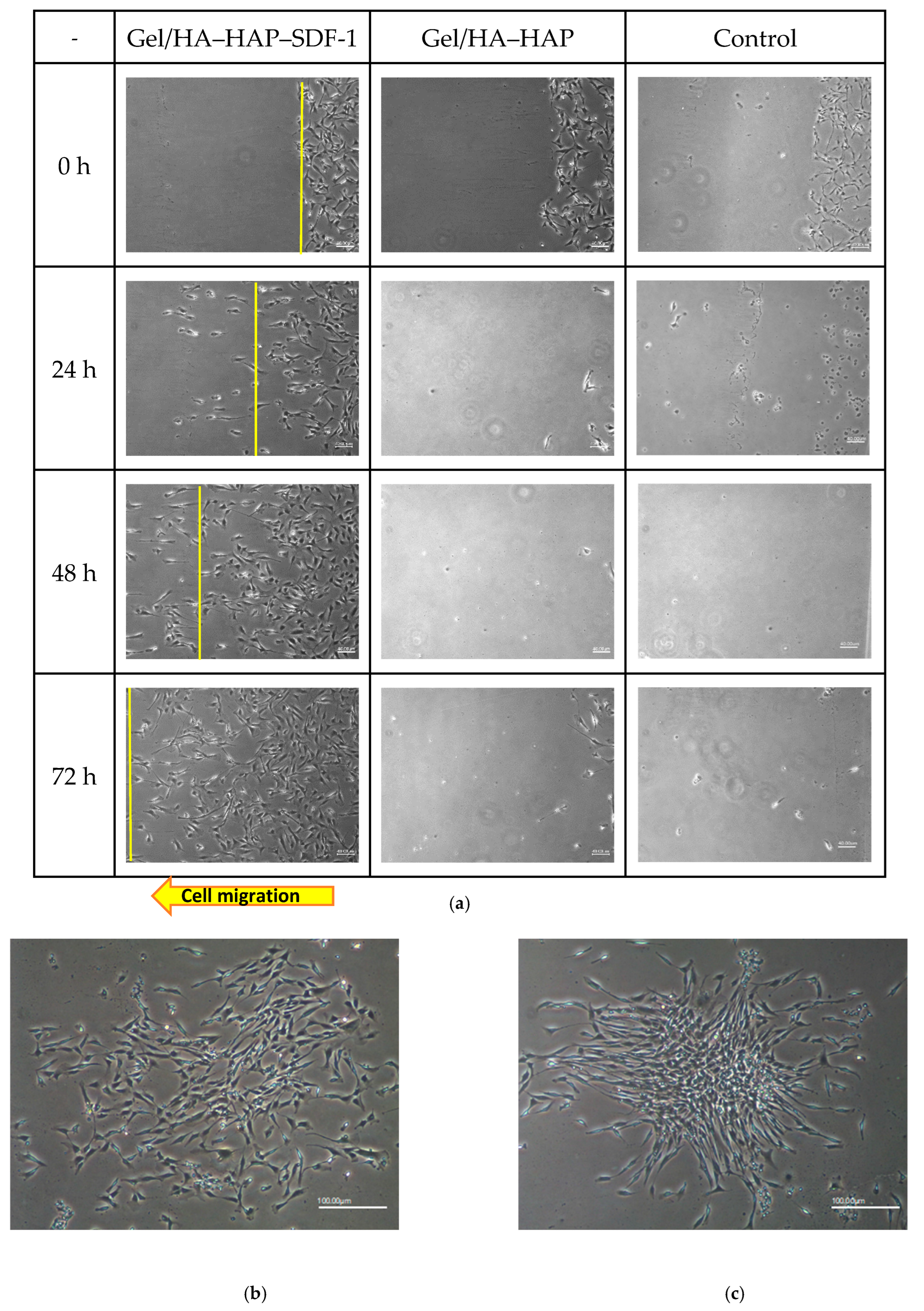 Micromachines 12 00822 g007a