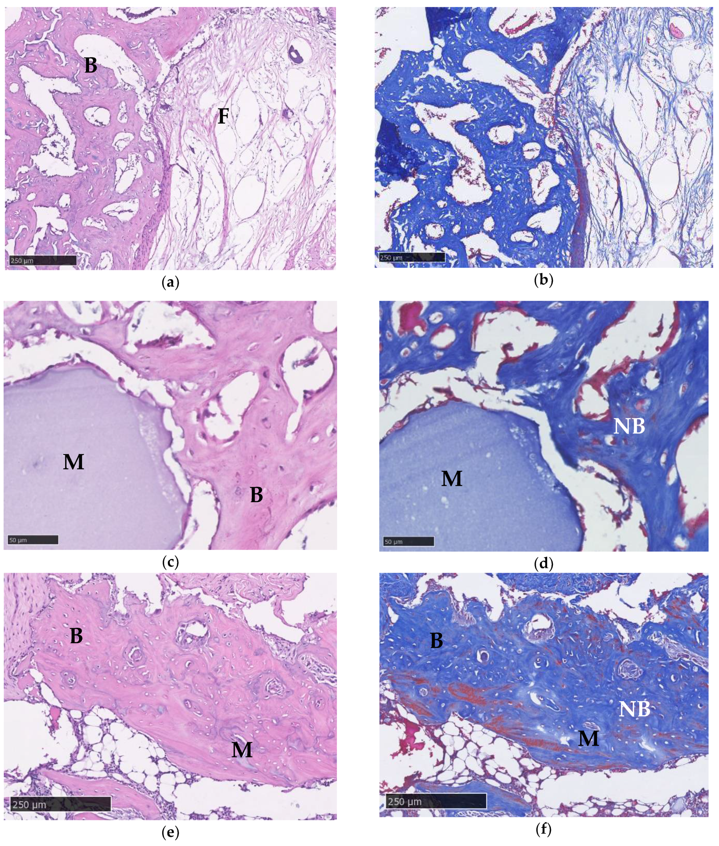 Micromachines 12 00822 g010a