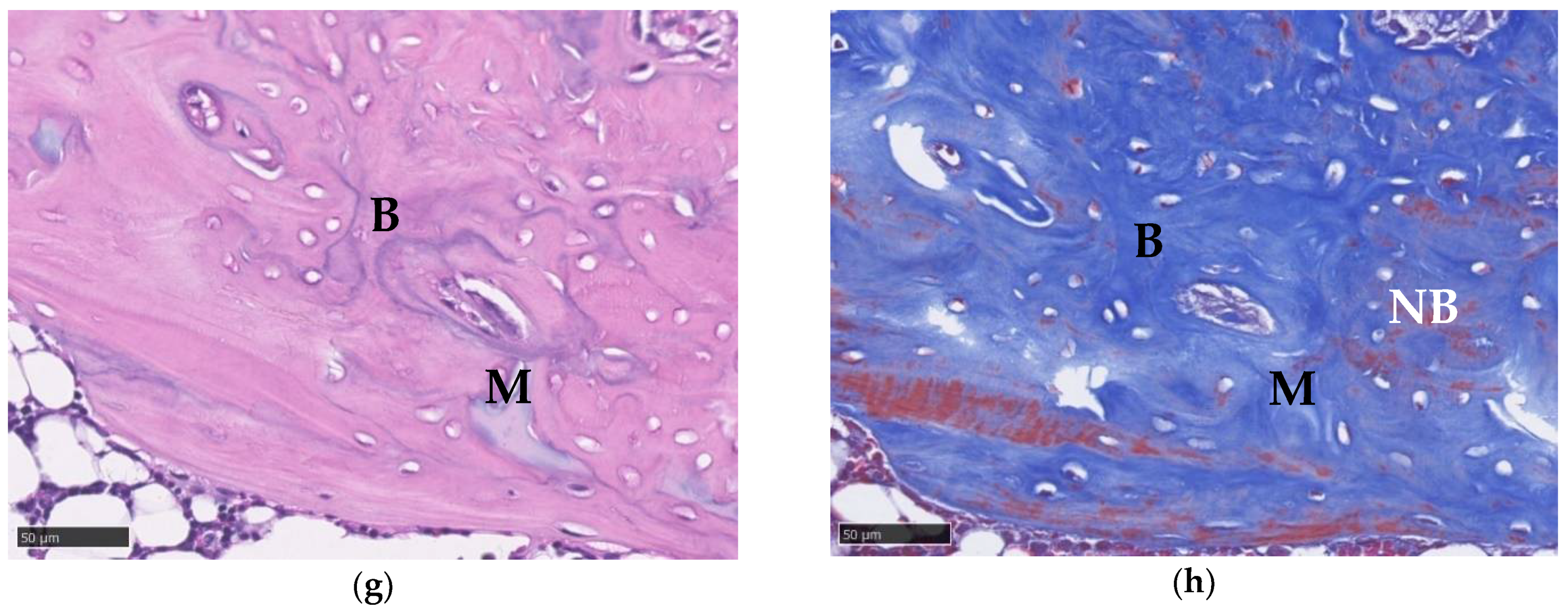 Micromachines 12 00822 g010b