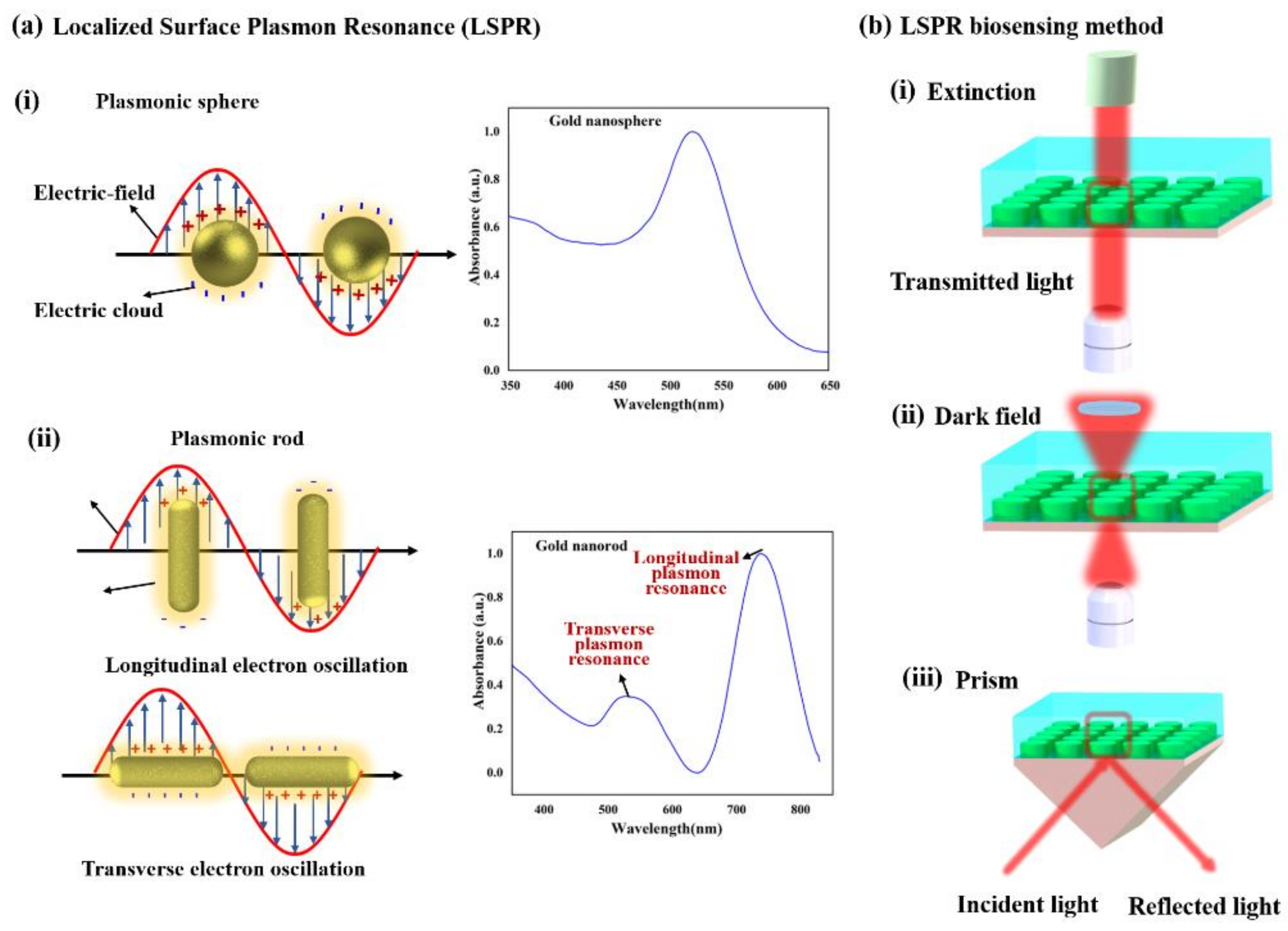 Micromachines 12 00826 g003