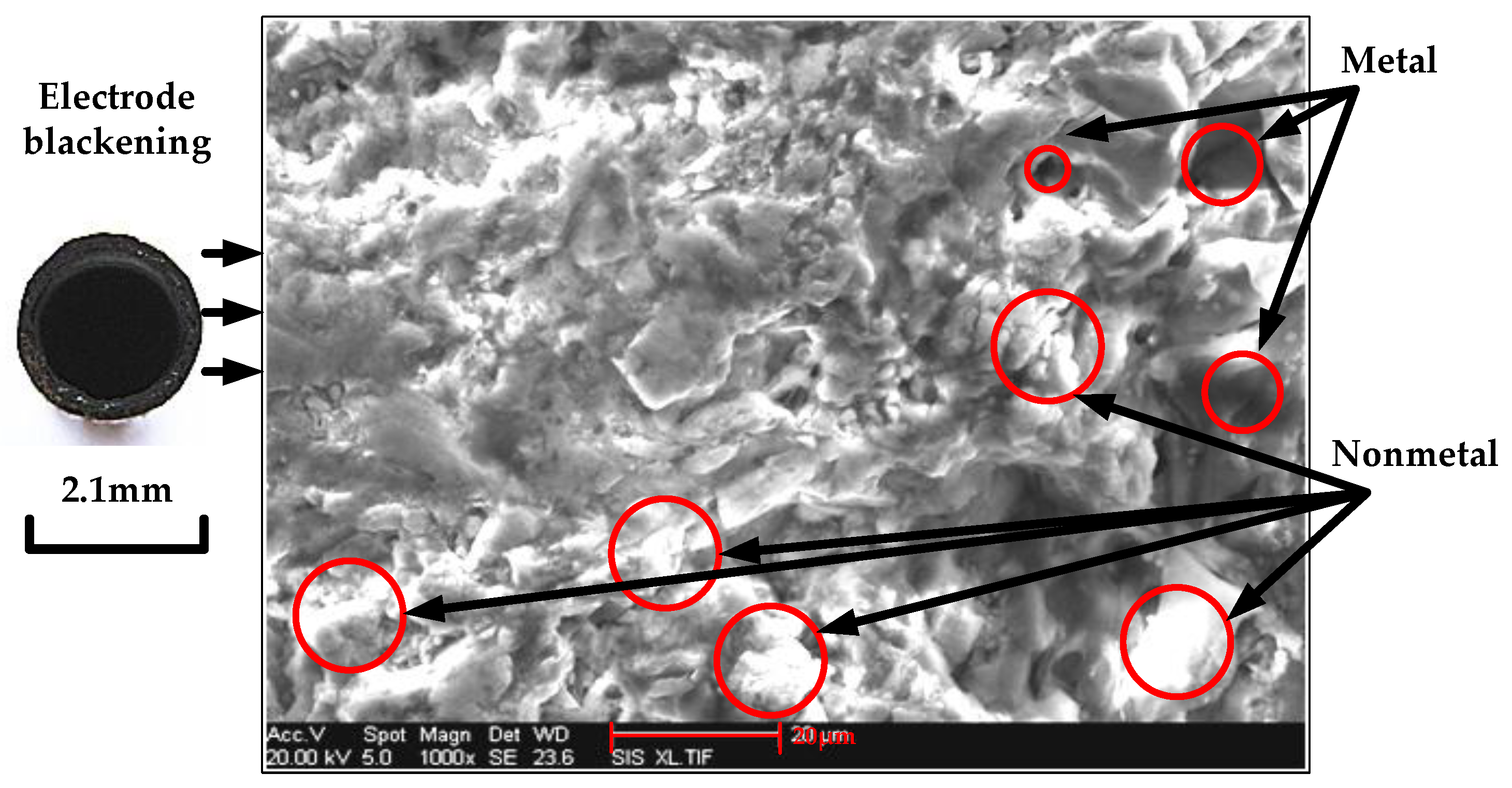 Micromachines 12 00828 g006