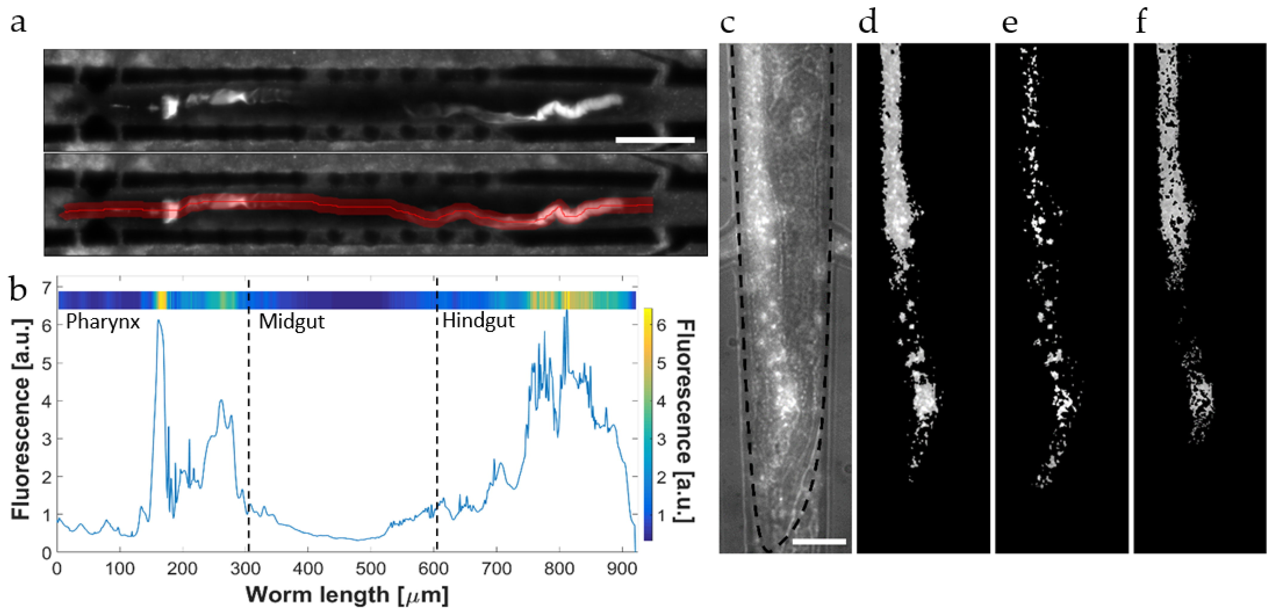 Micromachines 12 00832 g002
