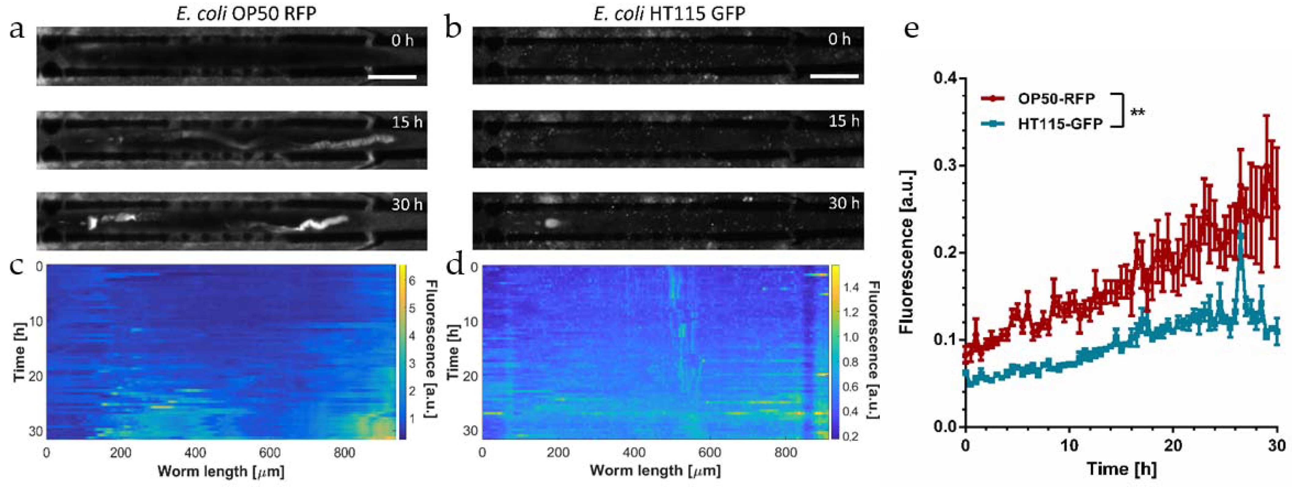Micromachines 12 00832 g003