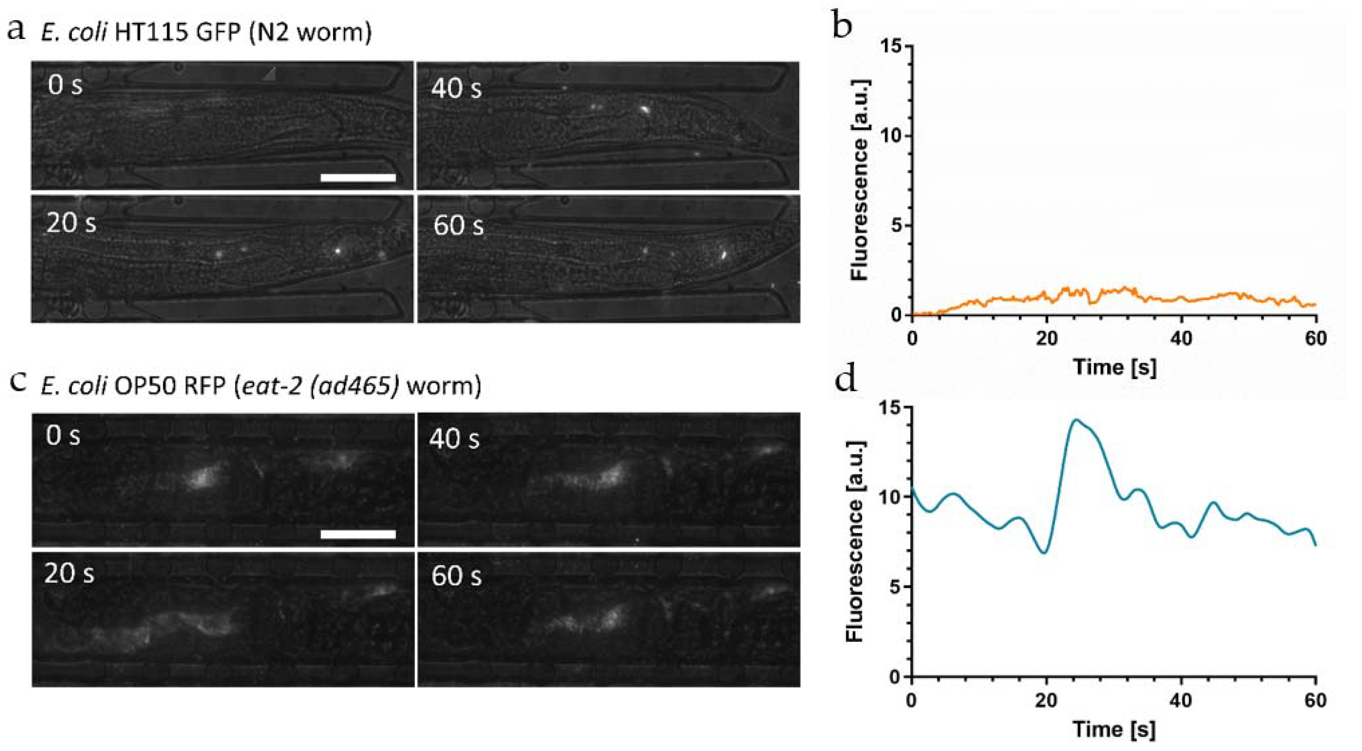 Micromachines 12 00832 g004