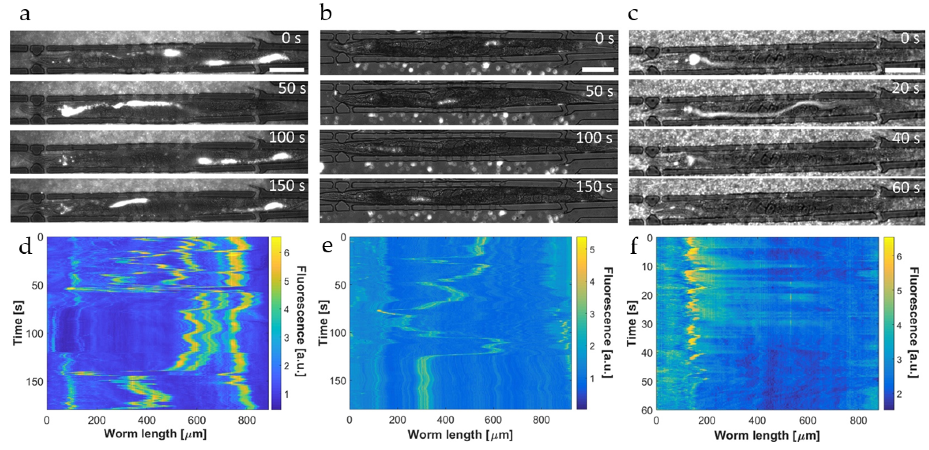 Micromachines 12 00832 g005