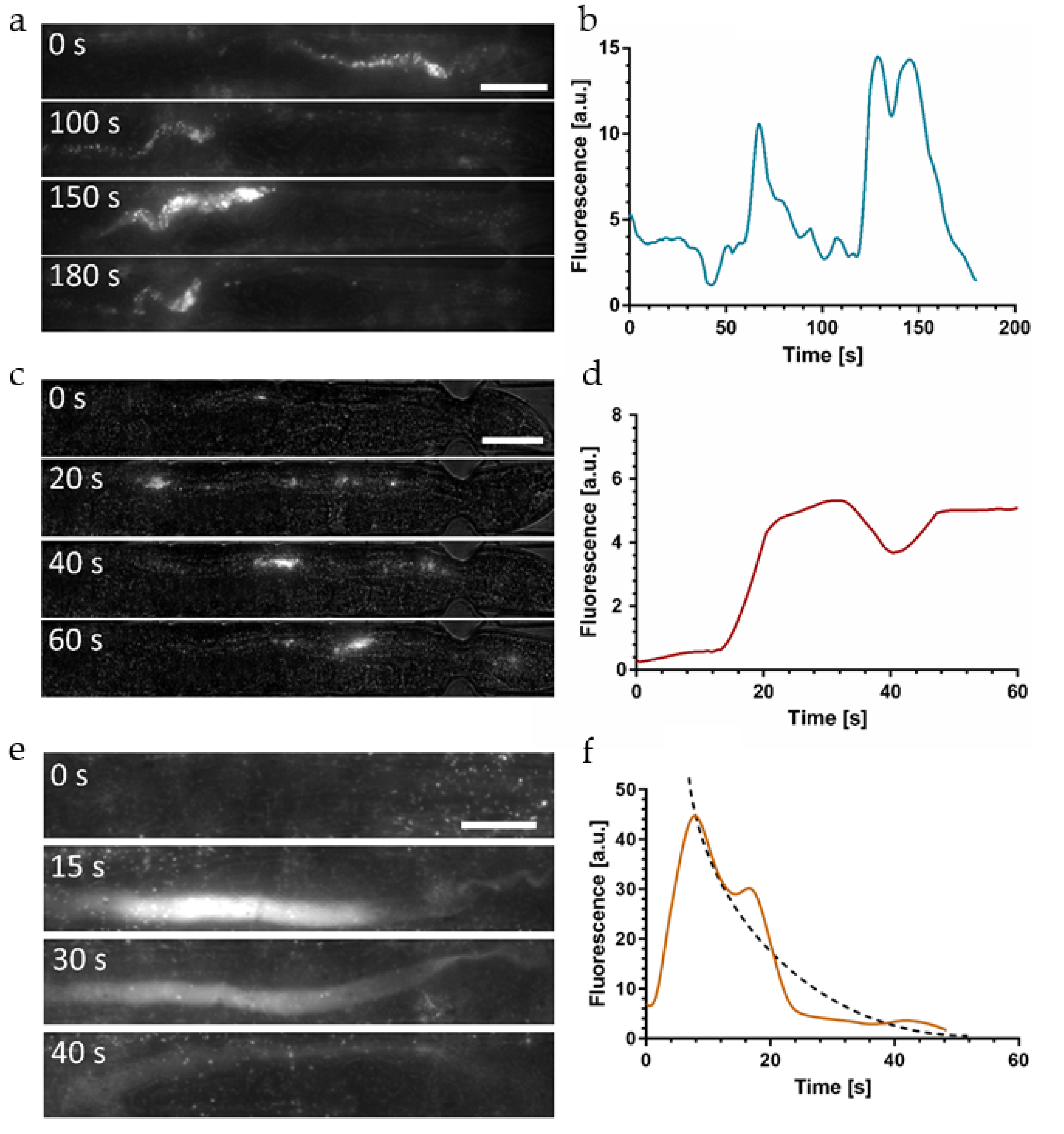 Micromachines 12 00832 g006
