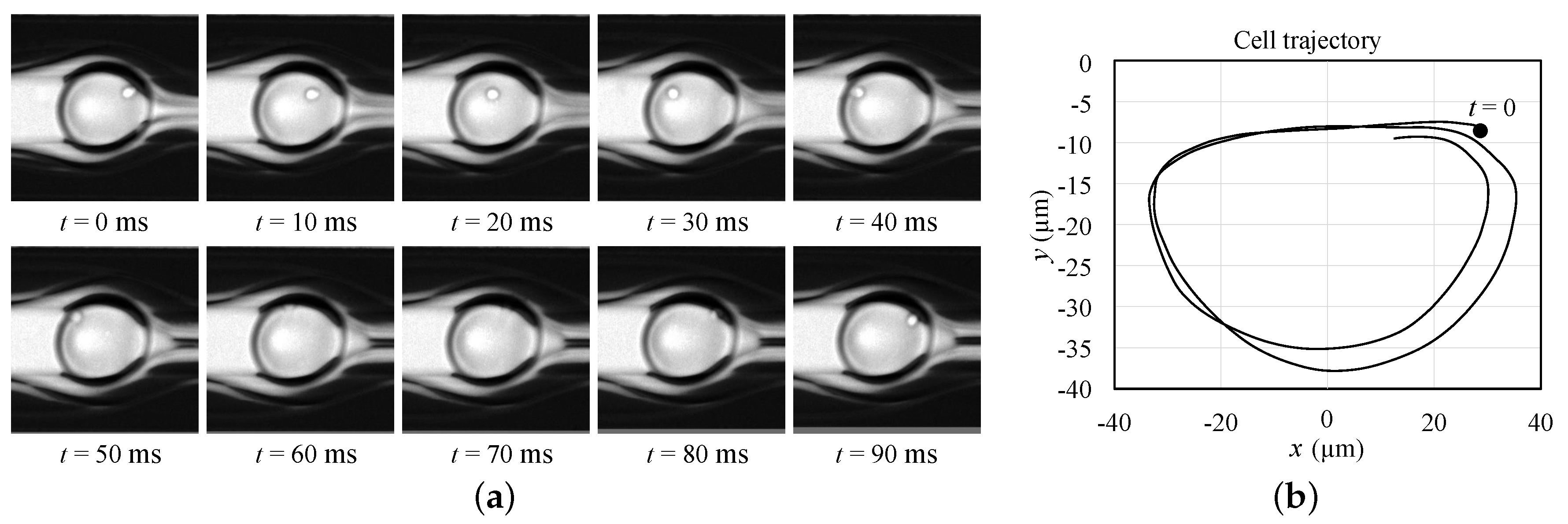 Micromachines 12 00839 g008