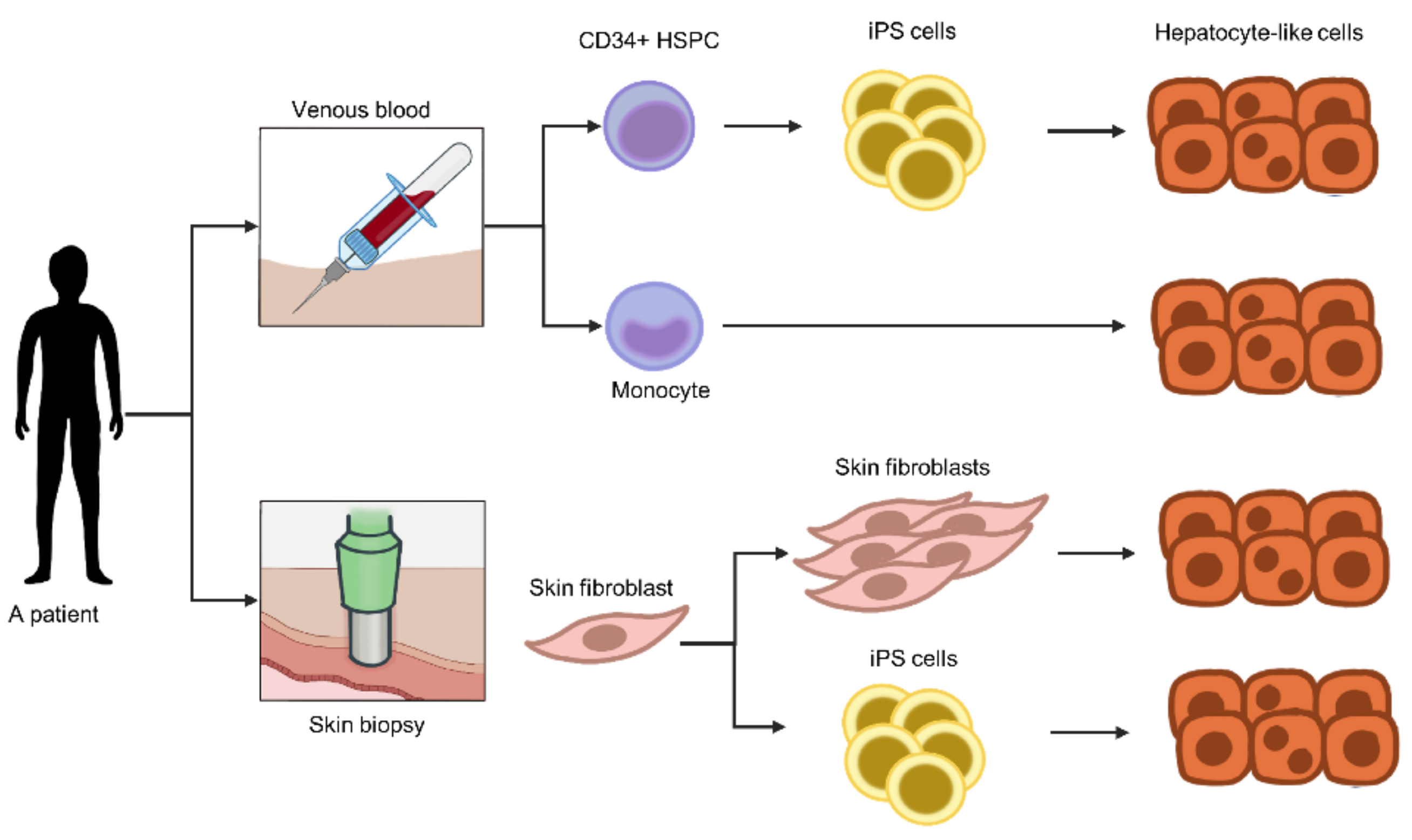 Micromachines 12 00842 g003