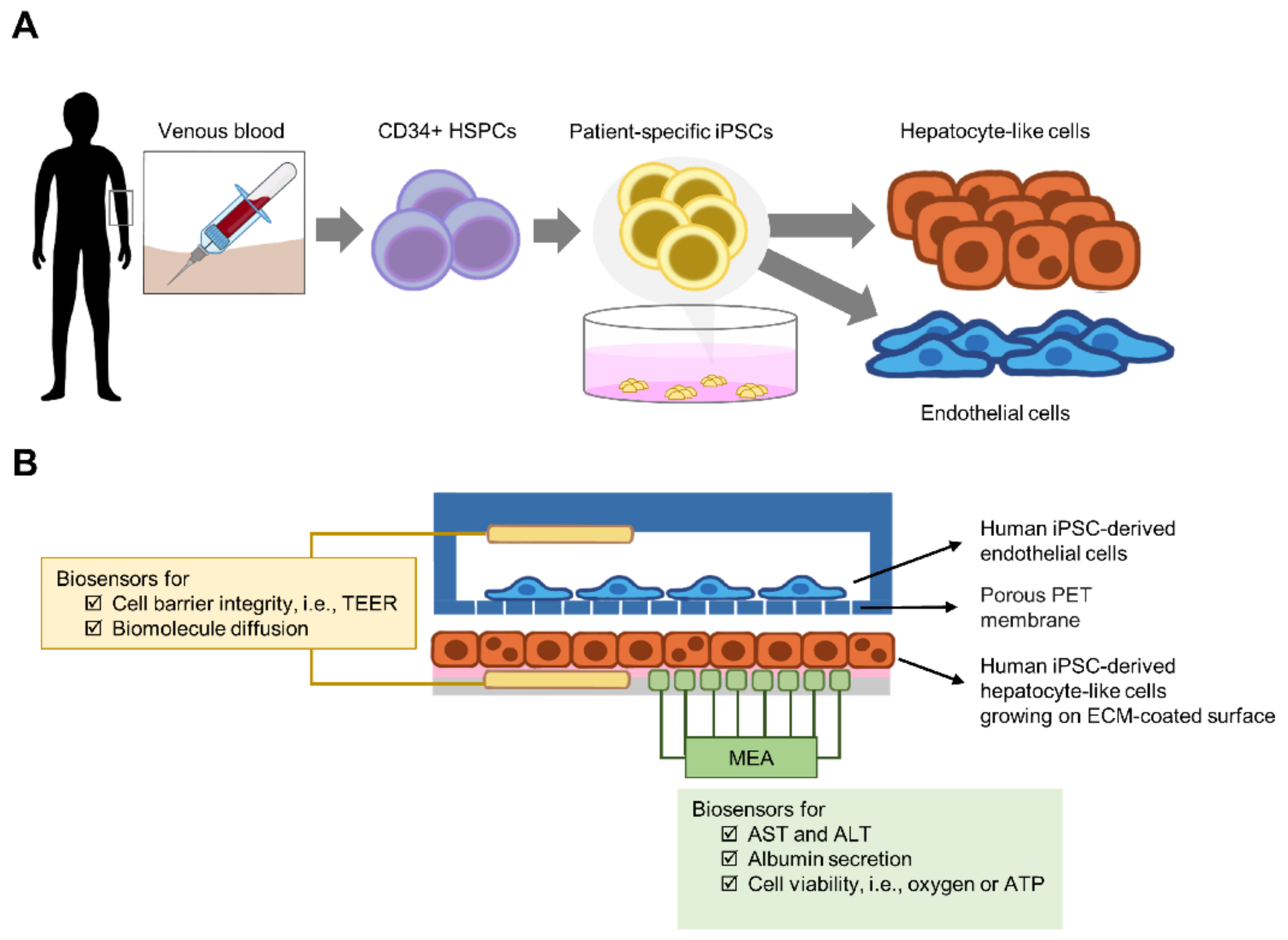 Micromachines 12 00842 g005