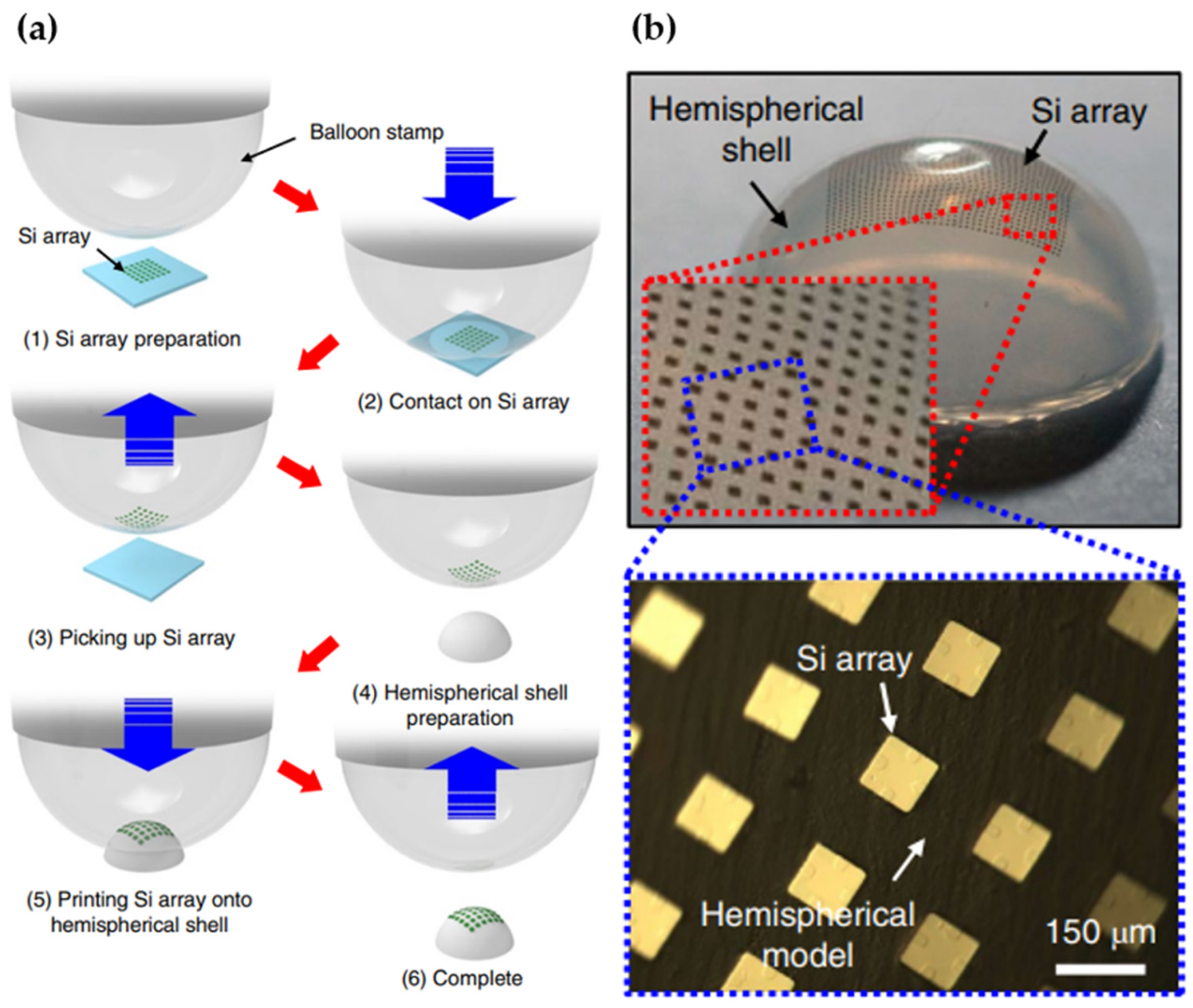 Micromachines Free Full Text Artificial Compound Eye Systems And Their Application A Review Html