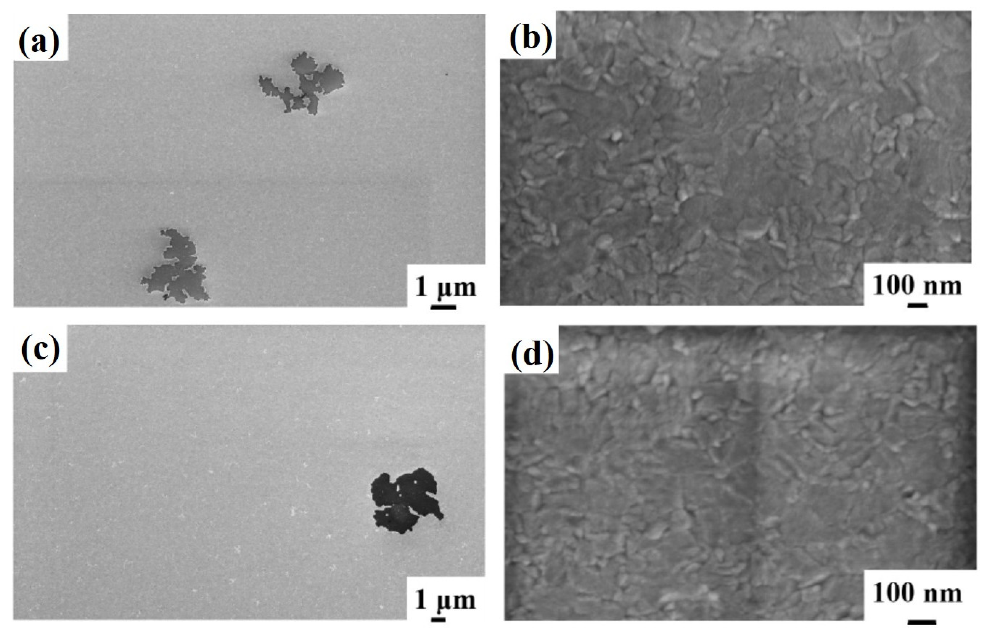 Micromachines 12 00849 g006 550