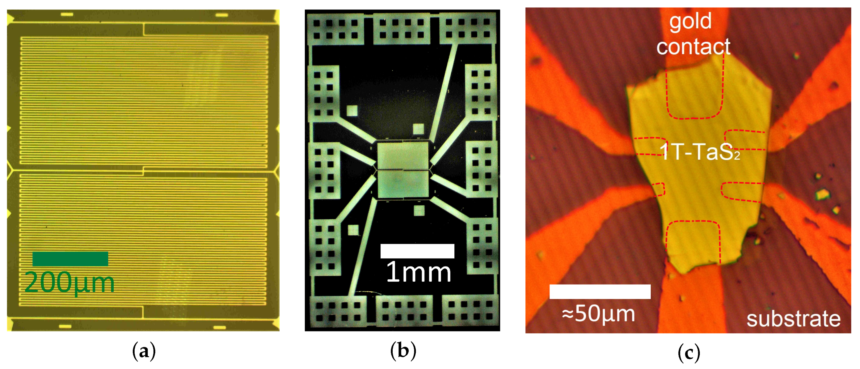 Micromachines 12 00850 g005
