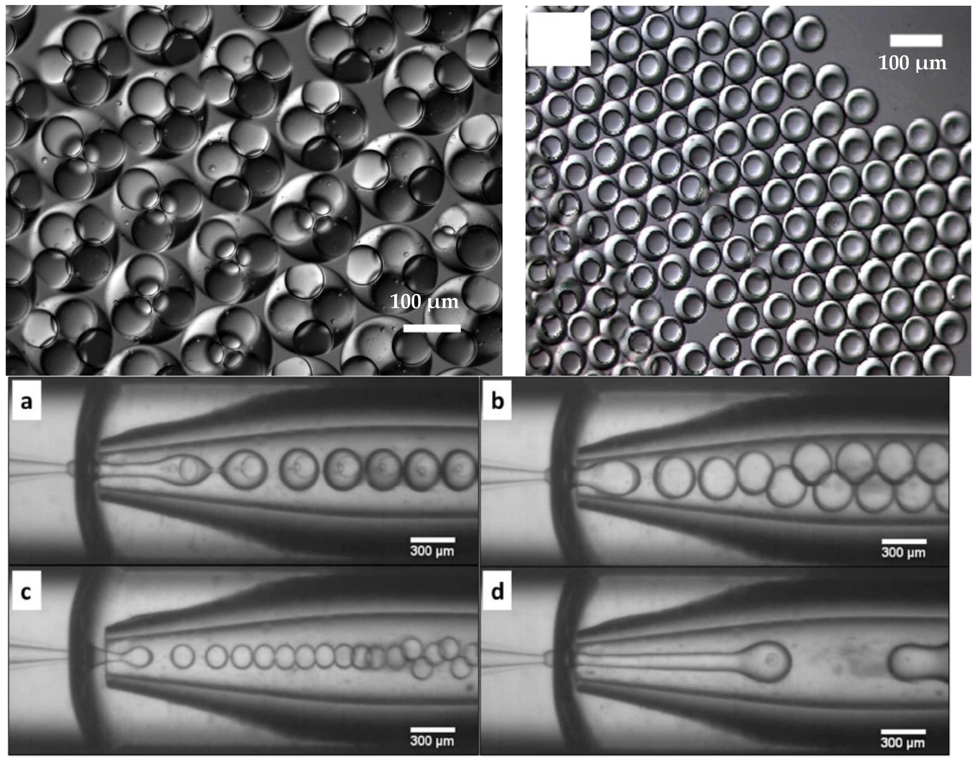 Micromachines 12 00863 g003 Micromachines 12 00863 g003