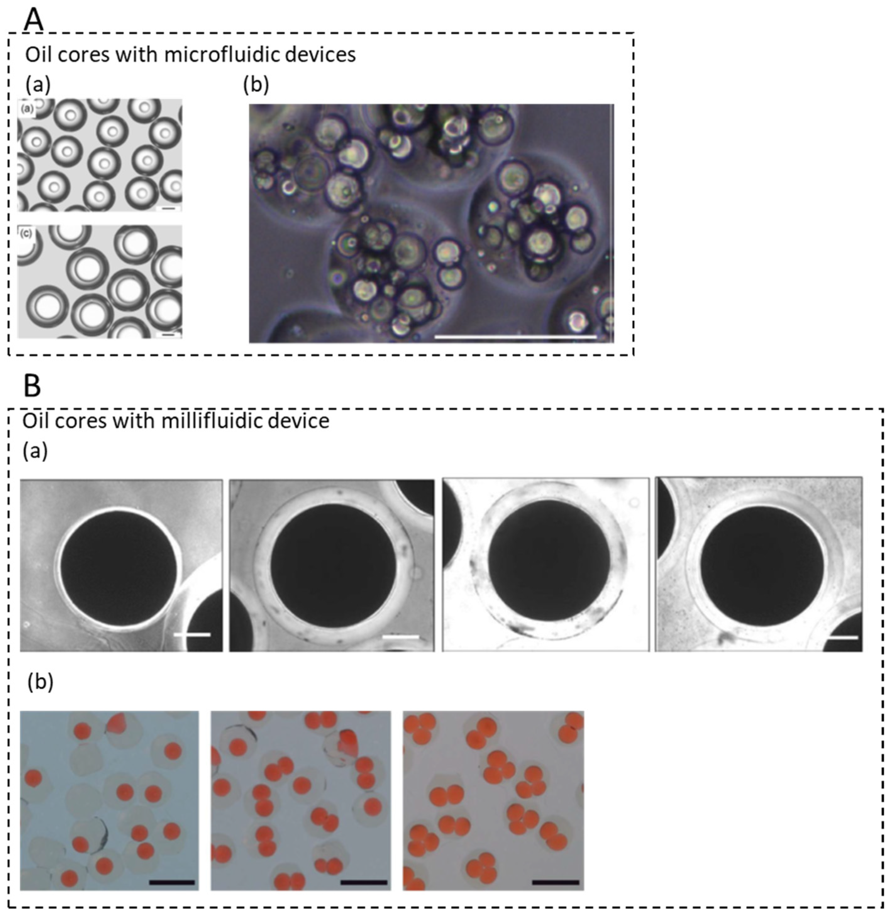 Micromachines 12 00863 g005 Micromachines 12 00863 g005