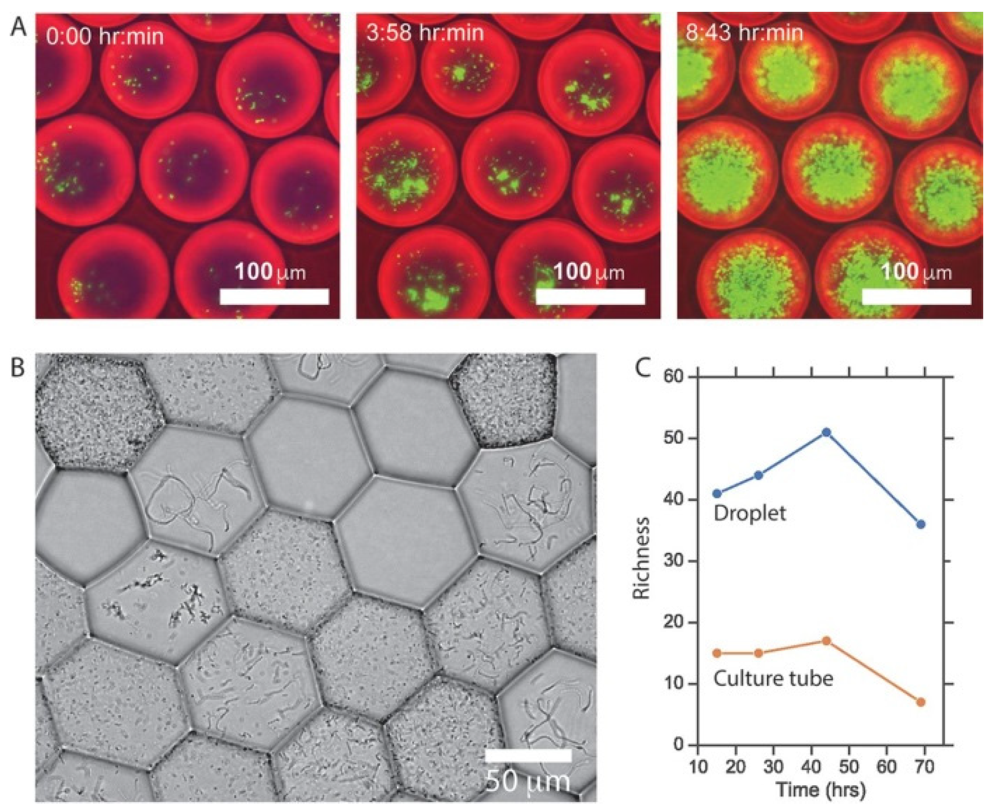 Micromachines 12 00863 g013 Micromachines 12 00863 g013