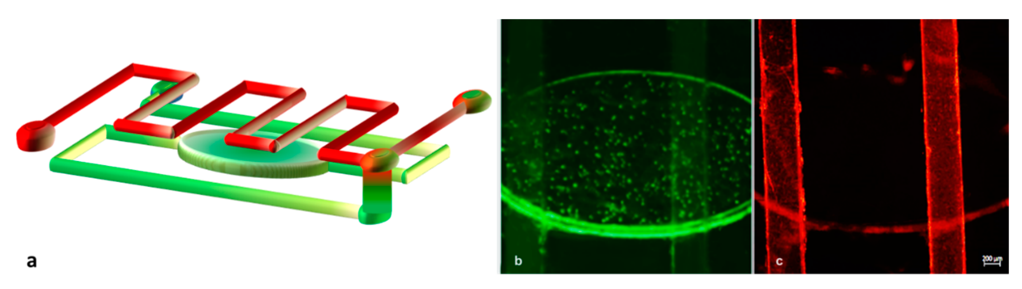 Micromachines 12 00885 g006
