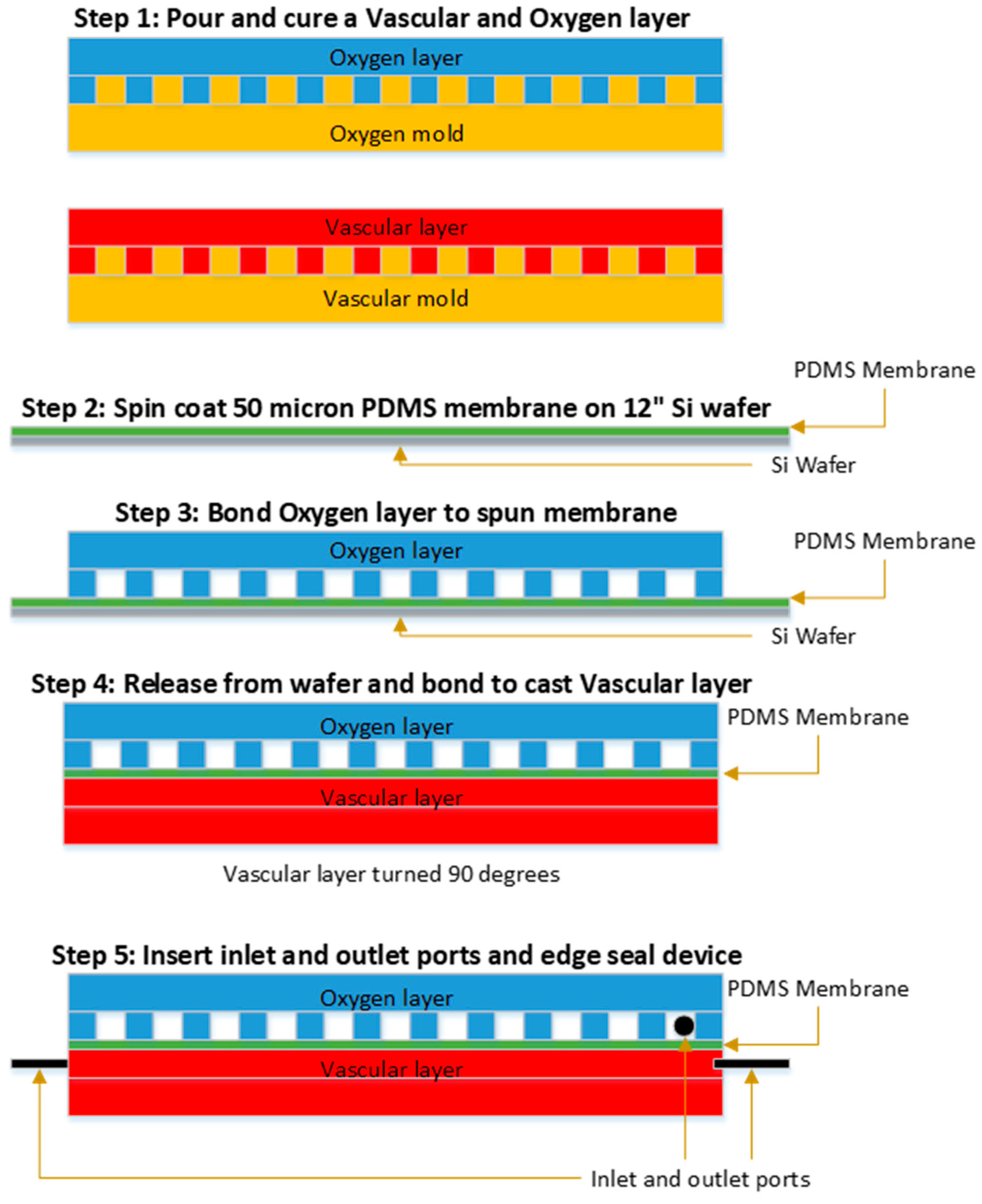 Micromachines 12 00888 g002