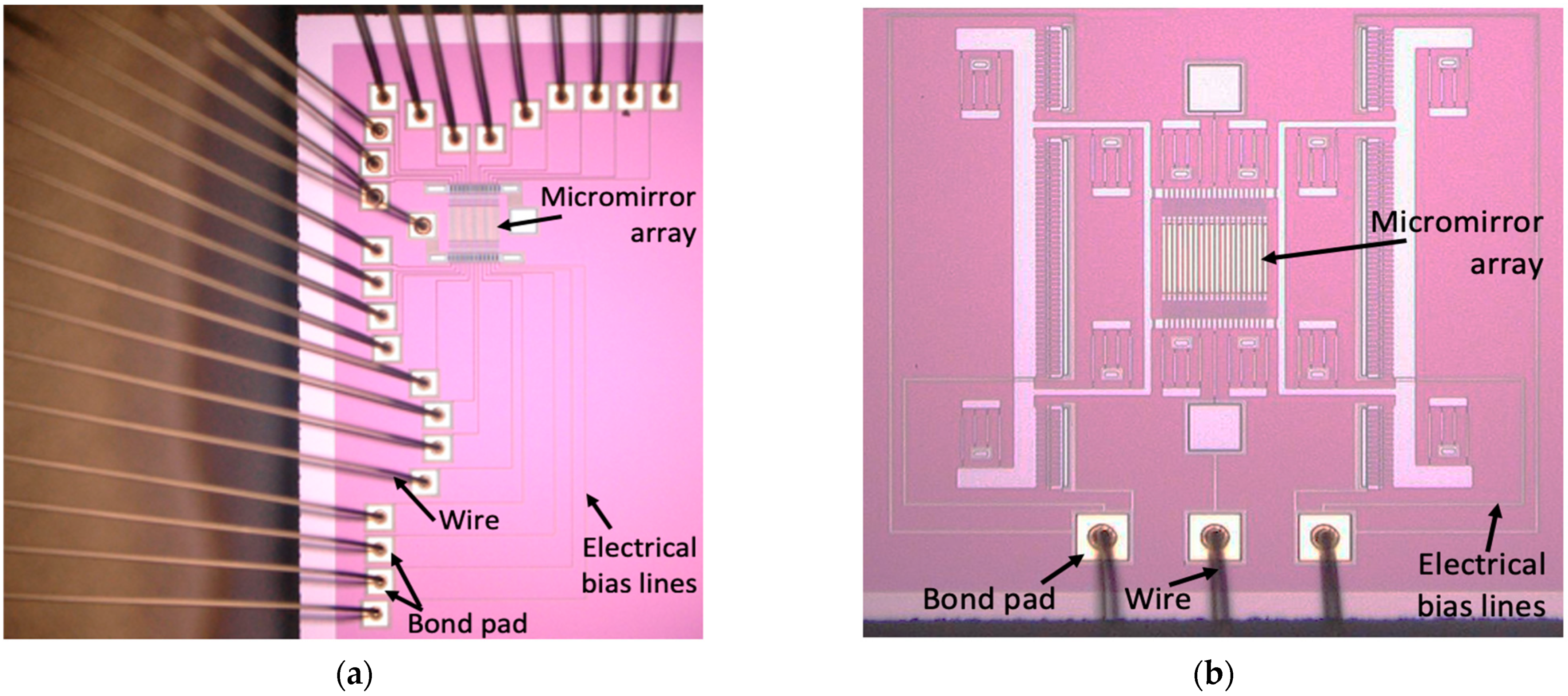 Micromachines 12 00891 g005