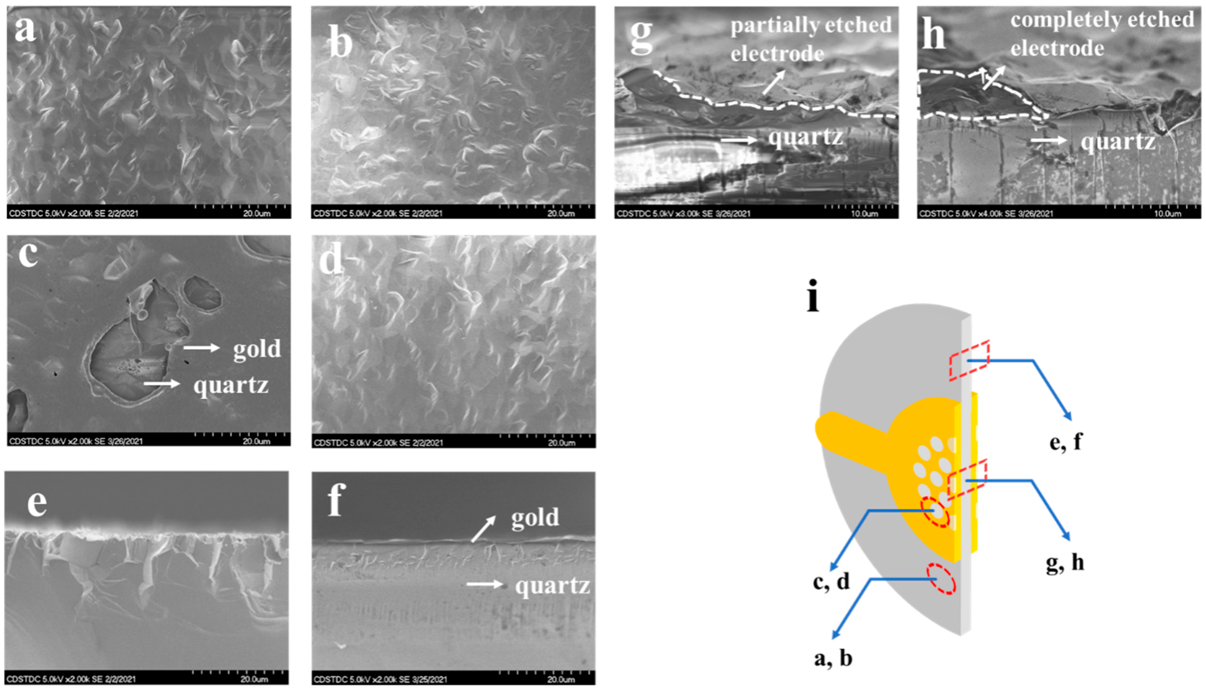 Micromachines 12 00894 g003