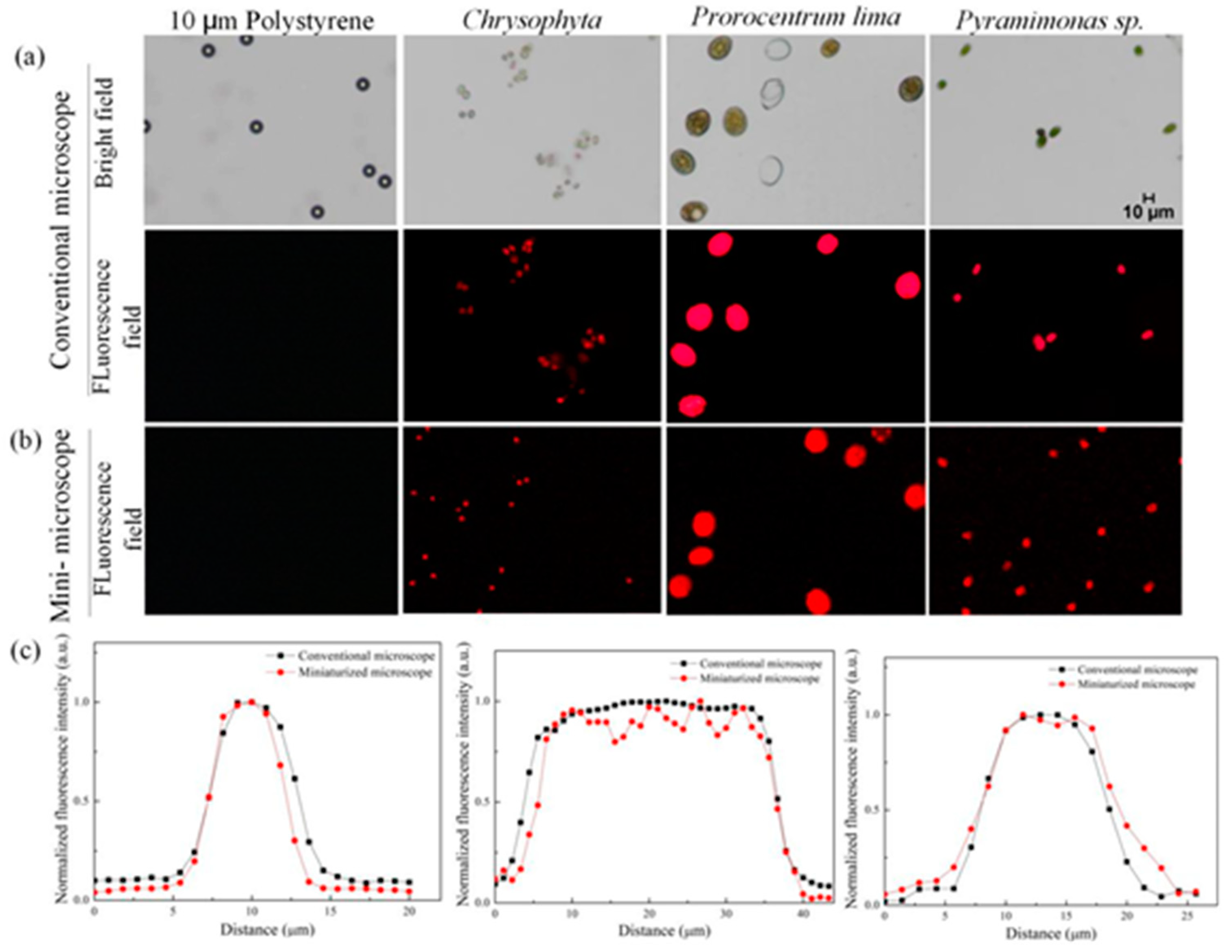 Micromachines 12 00896 g003