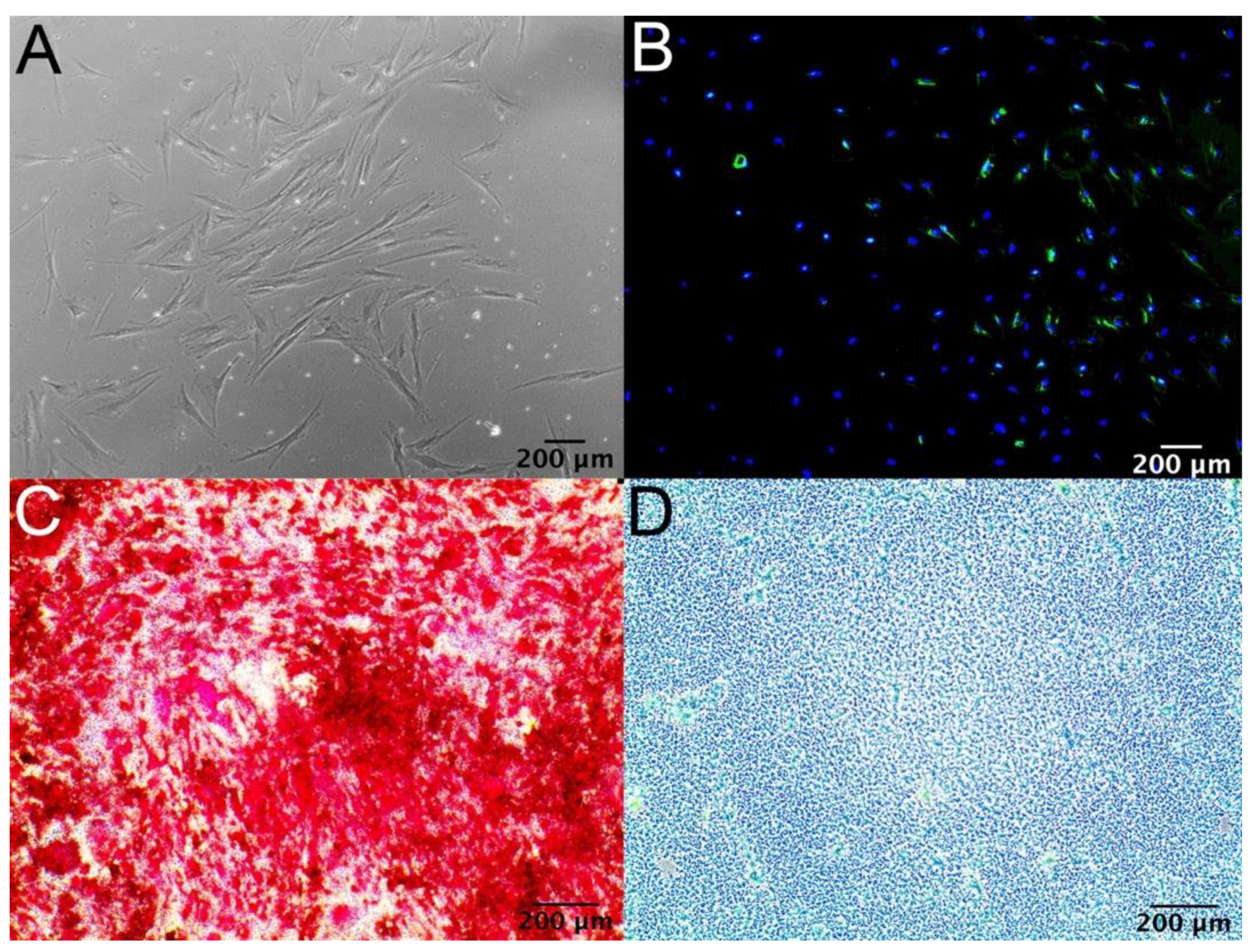 Micromachines 12 00897 g003 Micromachines 12 00897 g003