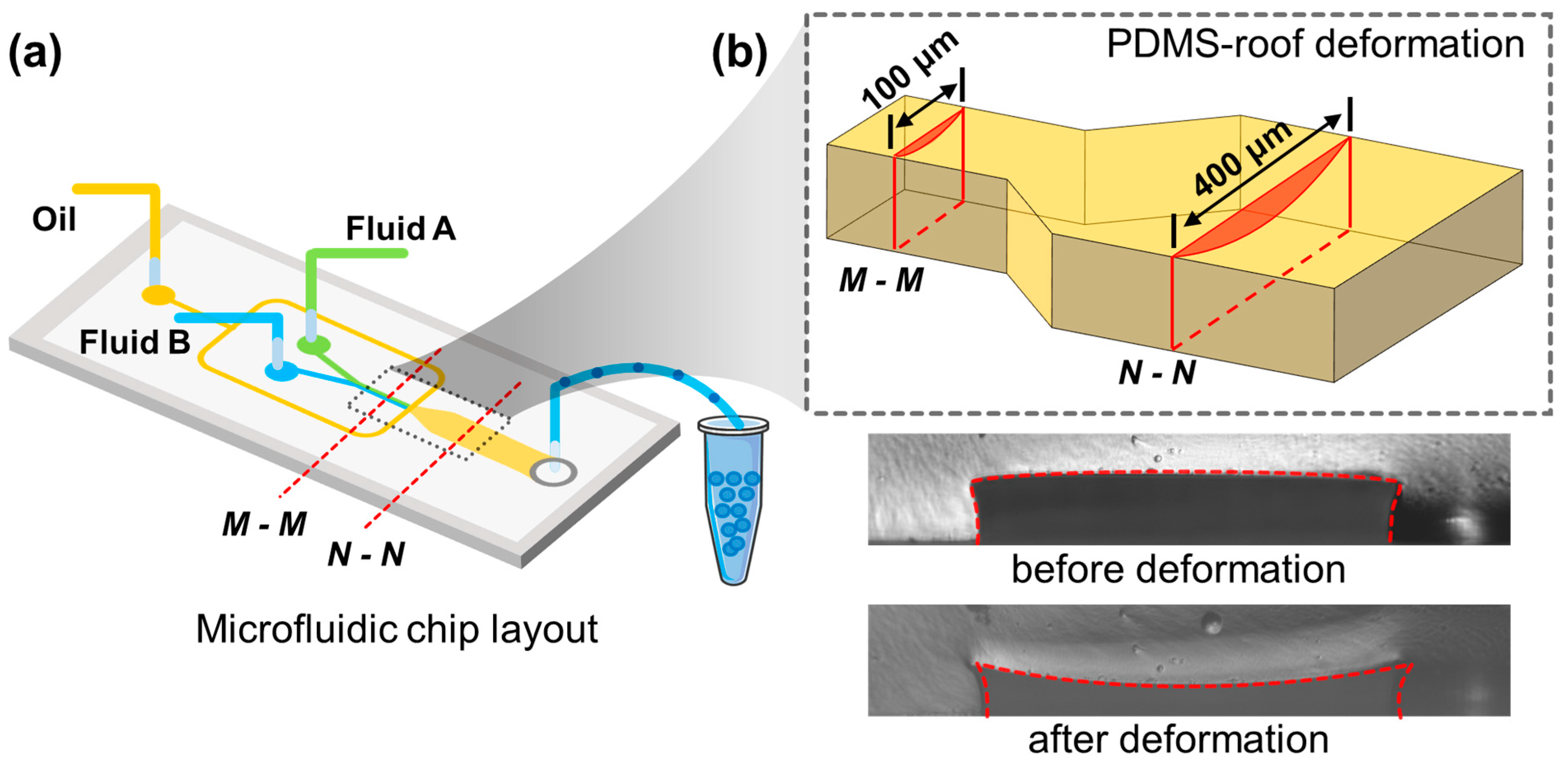 Micromachines 12 00901 g001 550