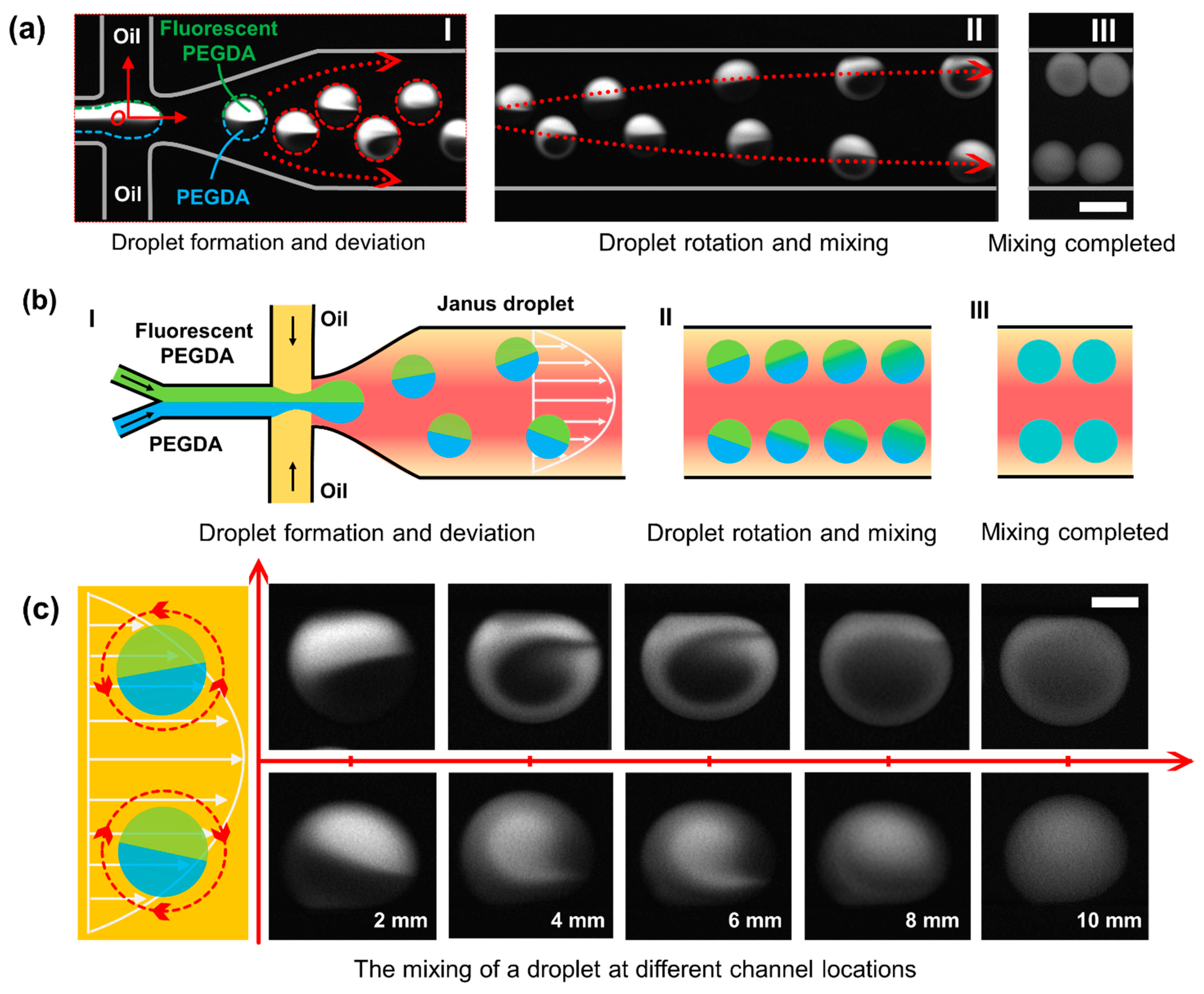 Micromachines 12 00901 g002 550